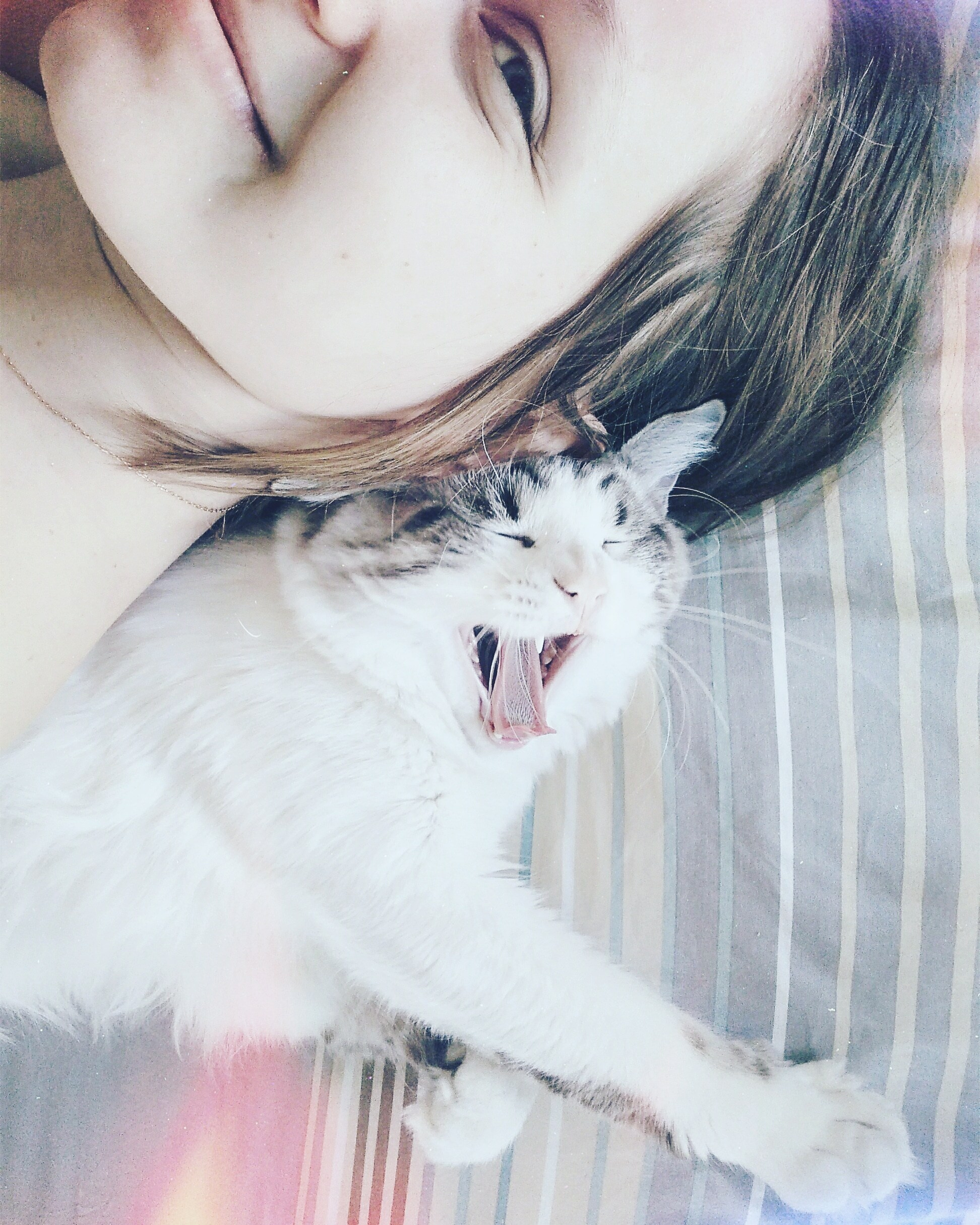 Автор: Александра Першина