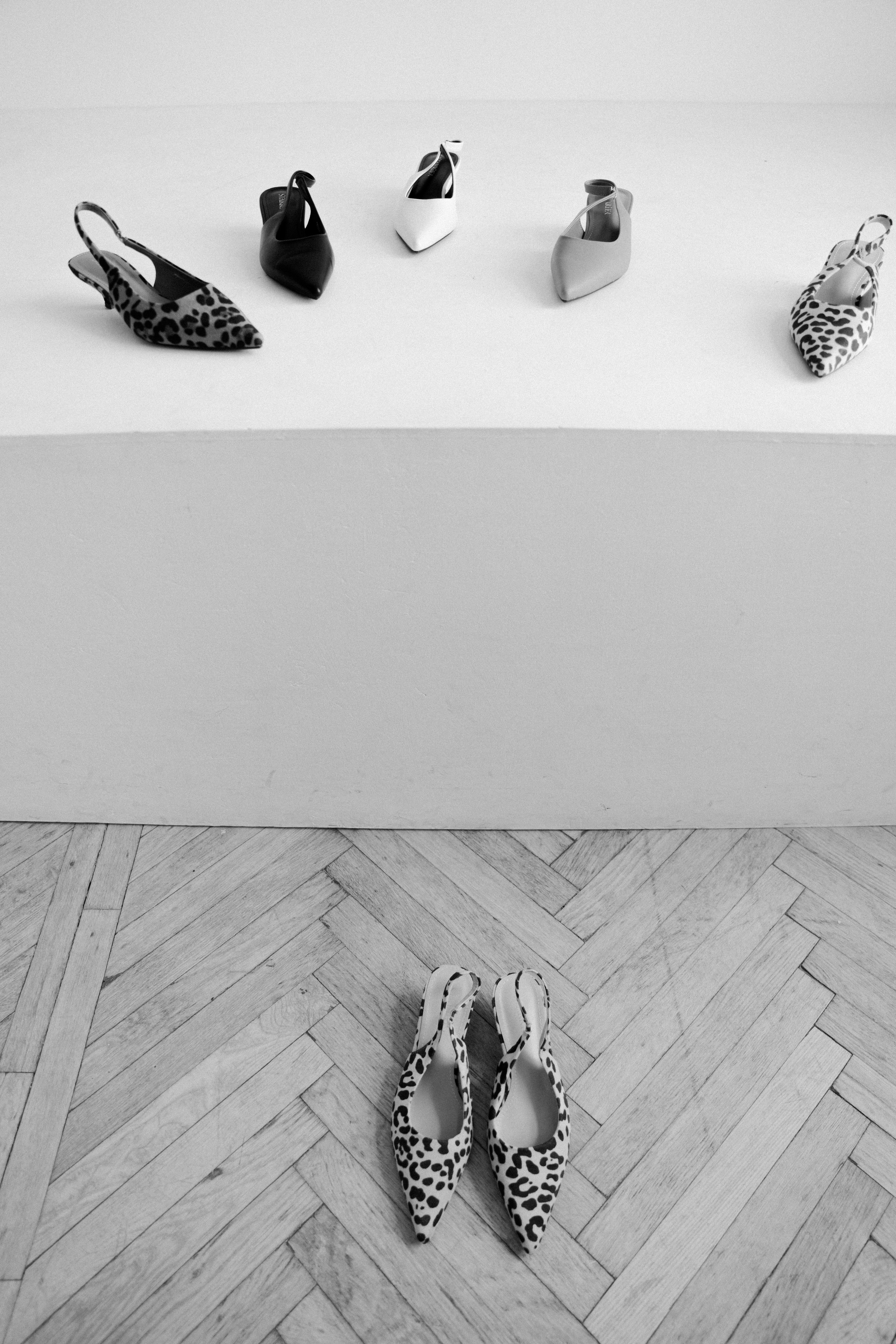 ◦ Лиза ◦. Главная