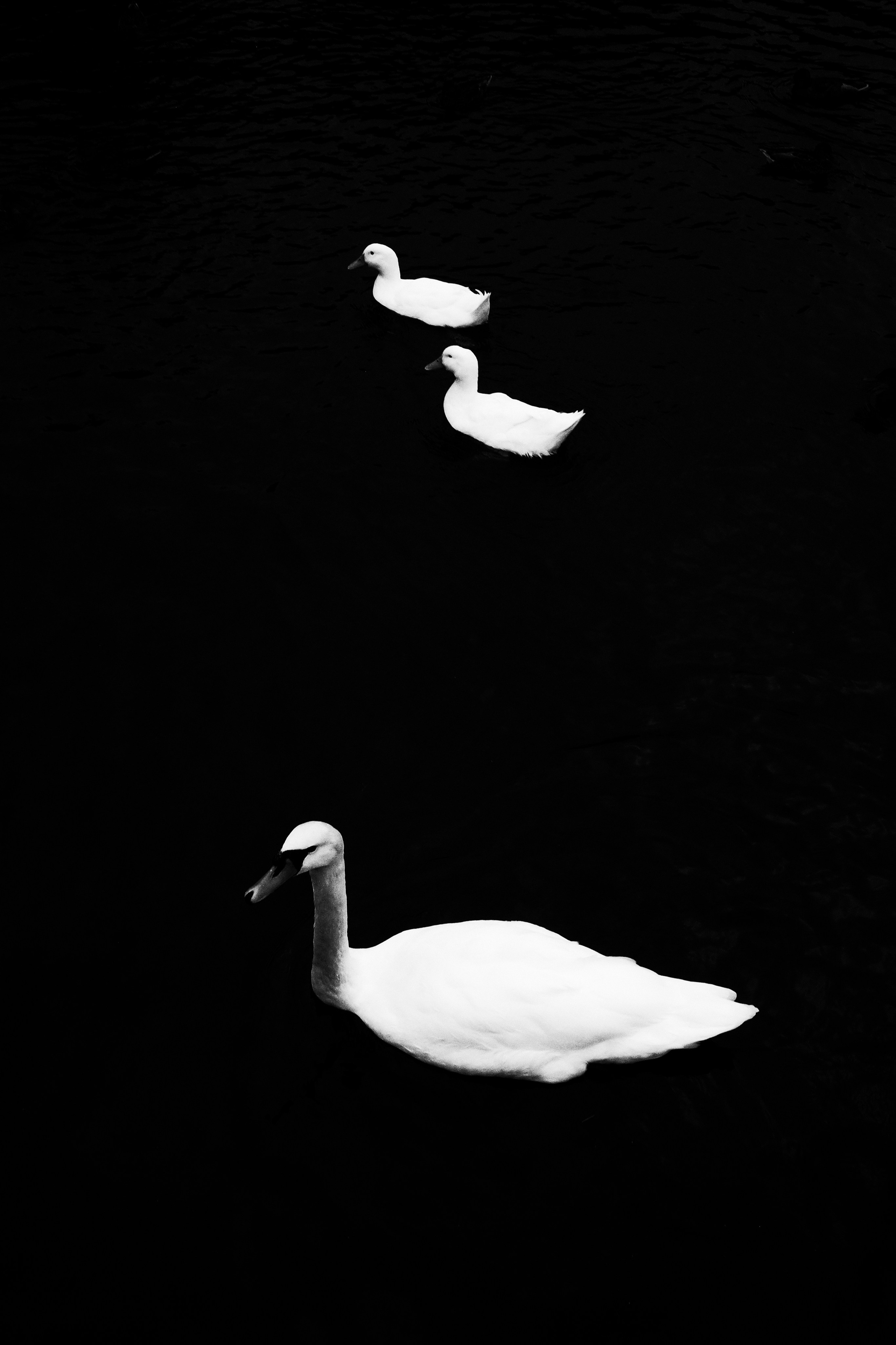 Самые черные фотографии. Артём Линейцев, фотограф