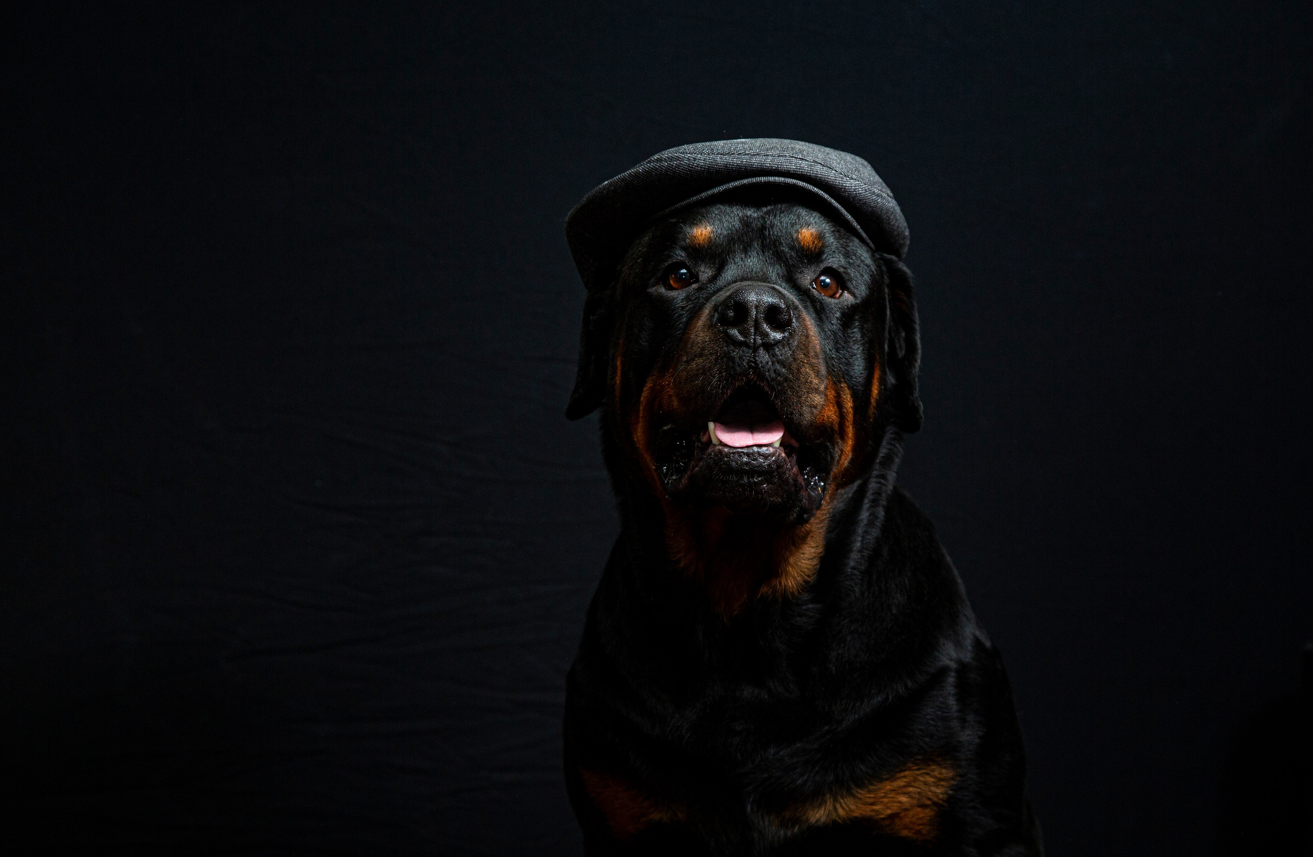 Животные. Авторские туры с профессиональным фотографом