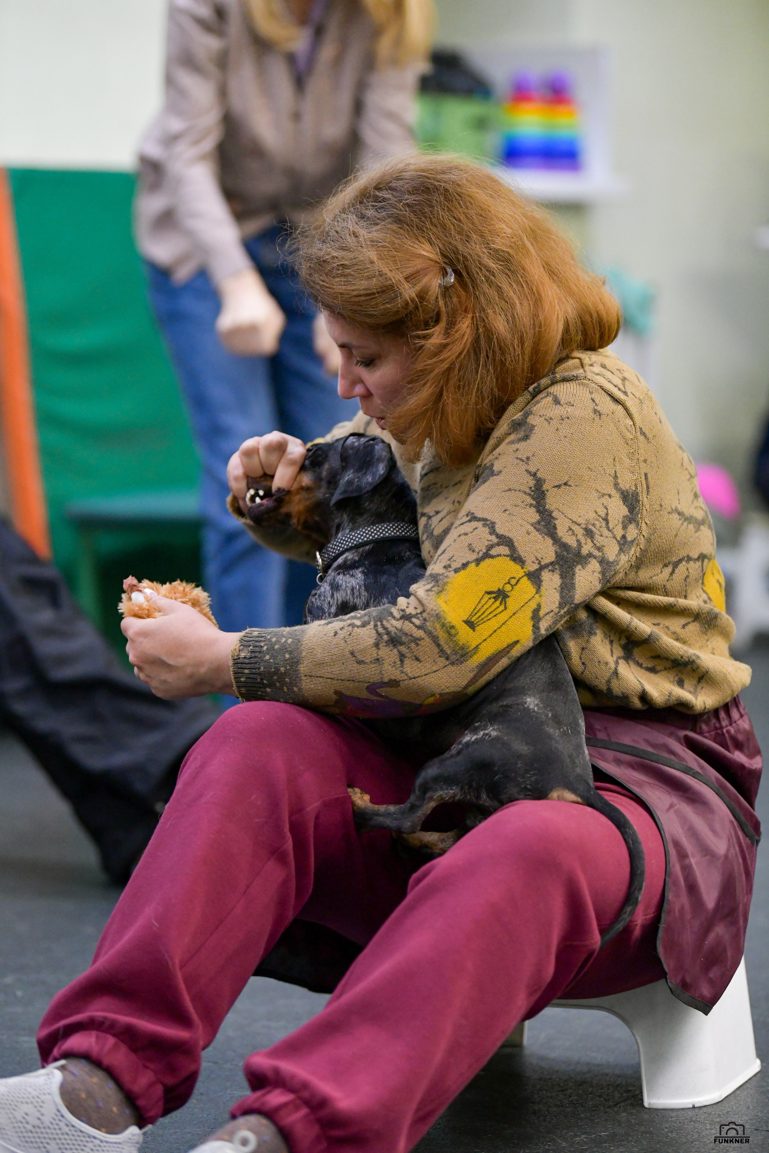 Кинологический клуб «Бодрый хвост». Свой взгляд через объектив