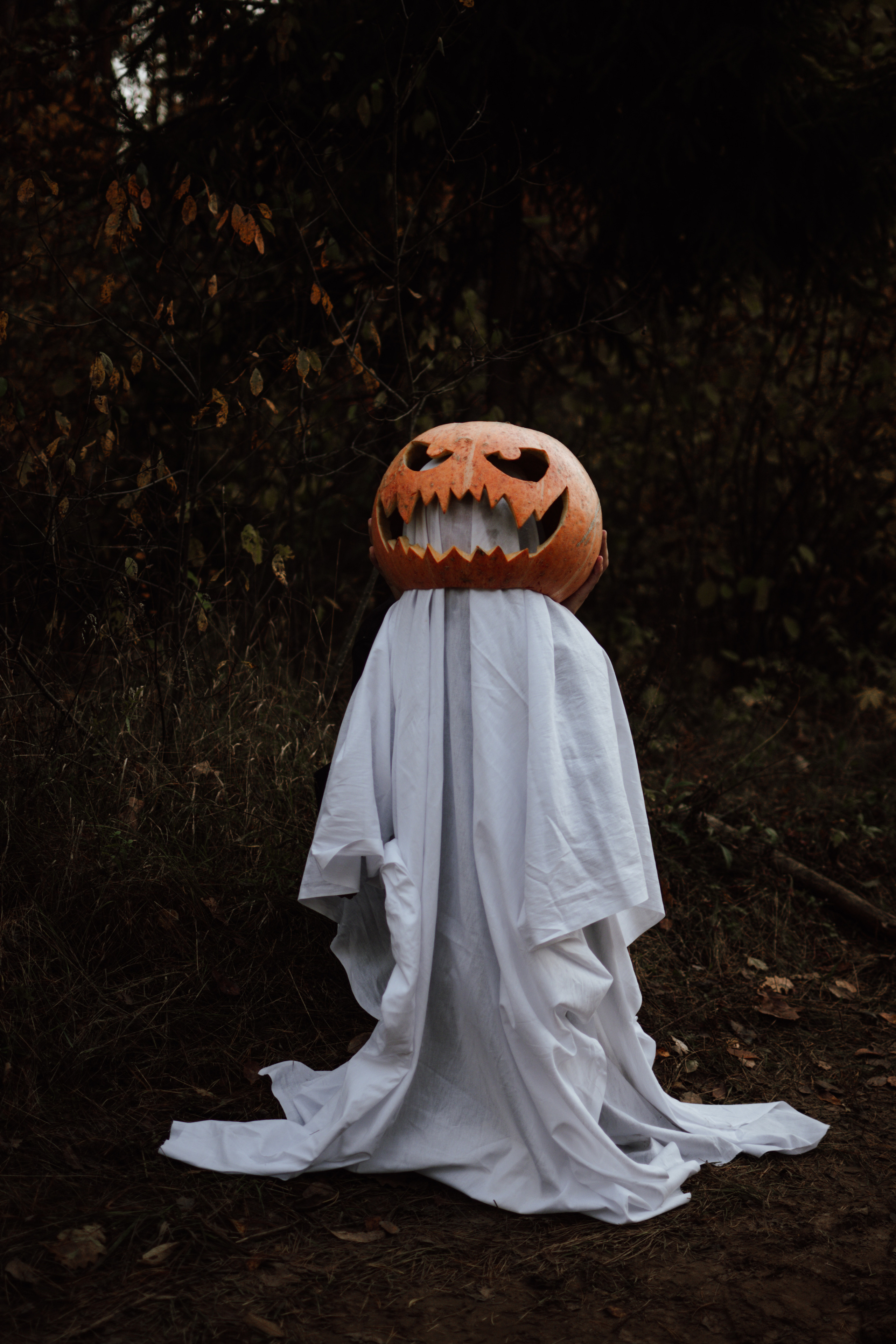 Творческая съемка к Hallowen с тыквами. Lifestyle фотограф в Жодино Ника Хруцкая