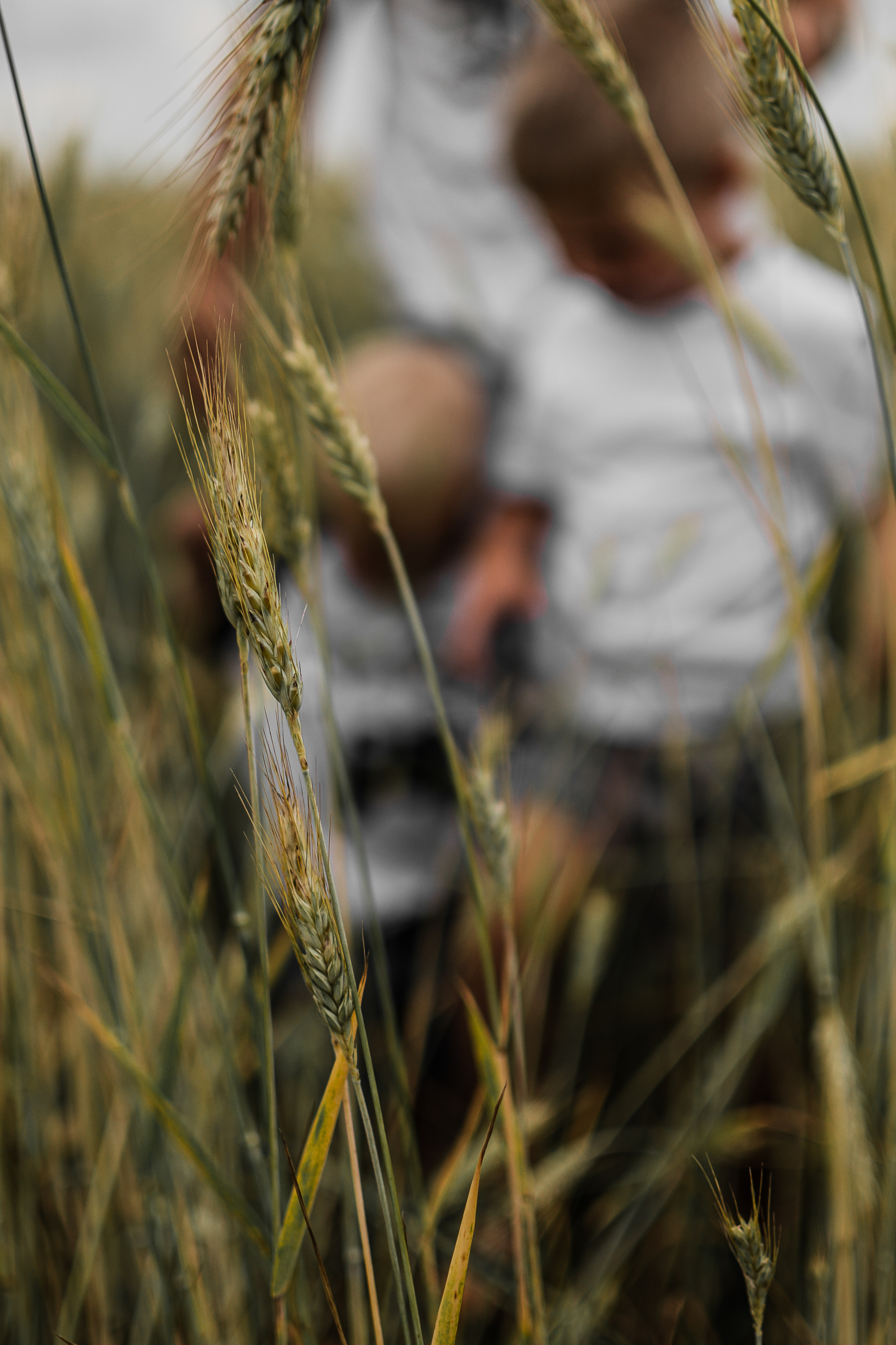 Максим, Даниил и Ярик. Lifestyle фотограф в Жодино Ника Хруцкая