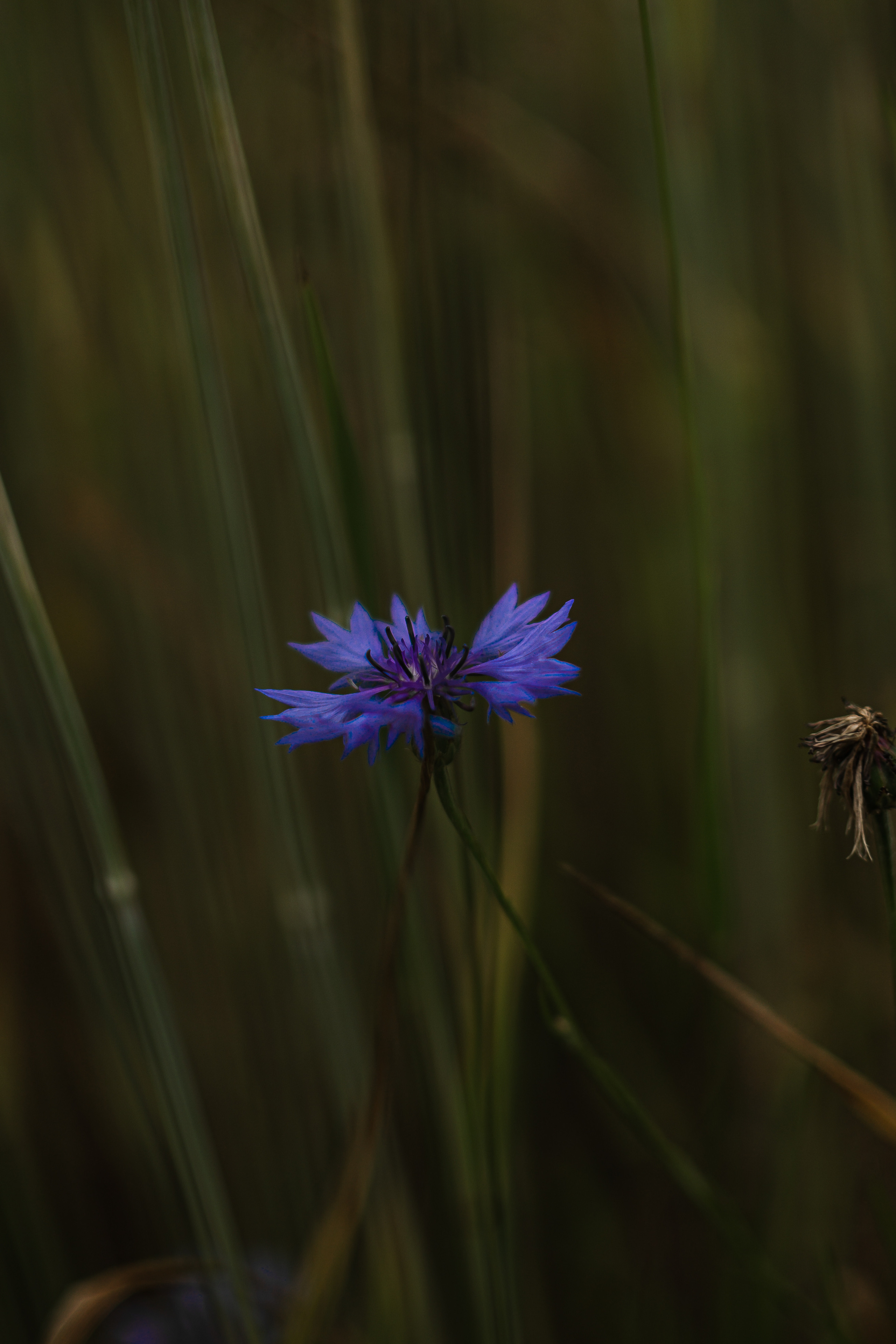 Максим, Даниил и Ярик. Lifestyle фотограф в Жодино Ника Хруцкая