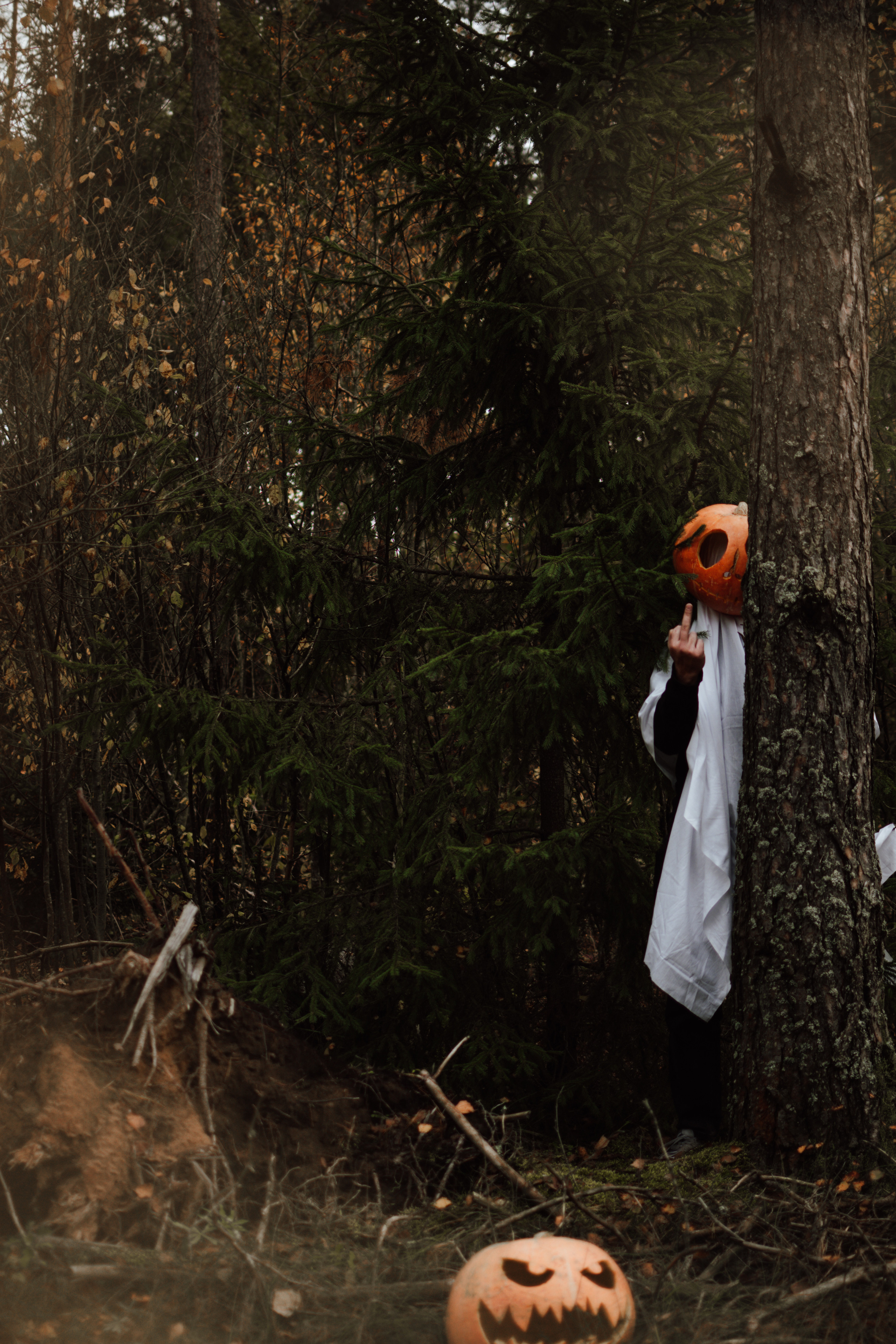 Творческая съемка к Hallowen с тыквами. Lifestyle фотограф в Жодино Ника Хруцкая