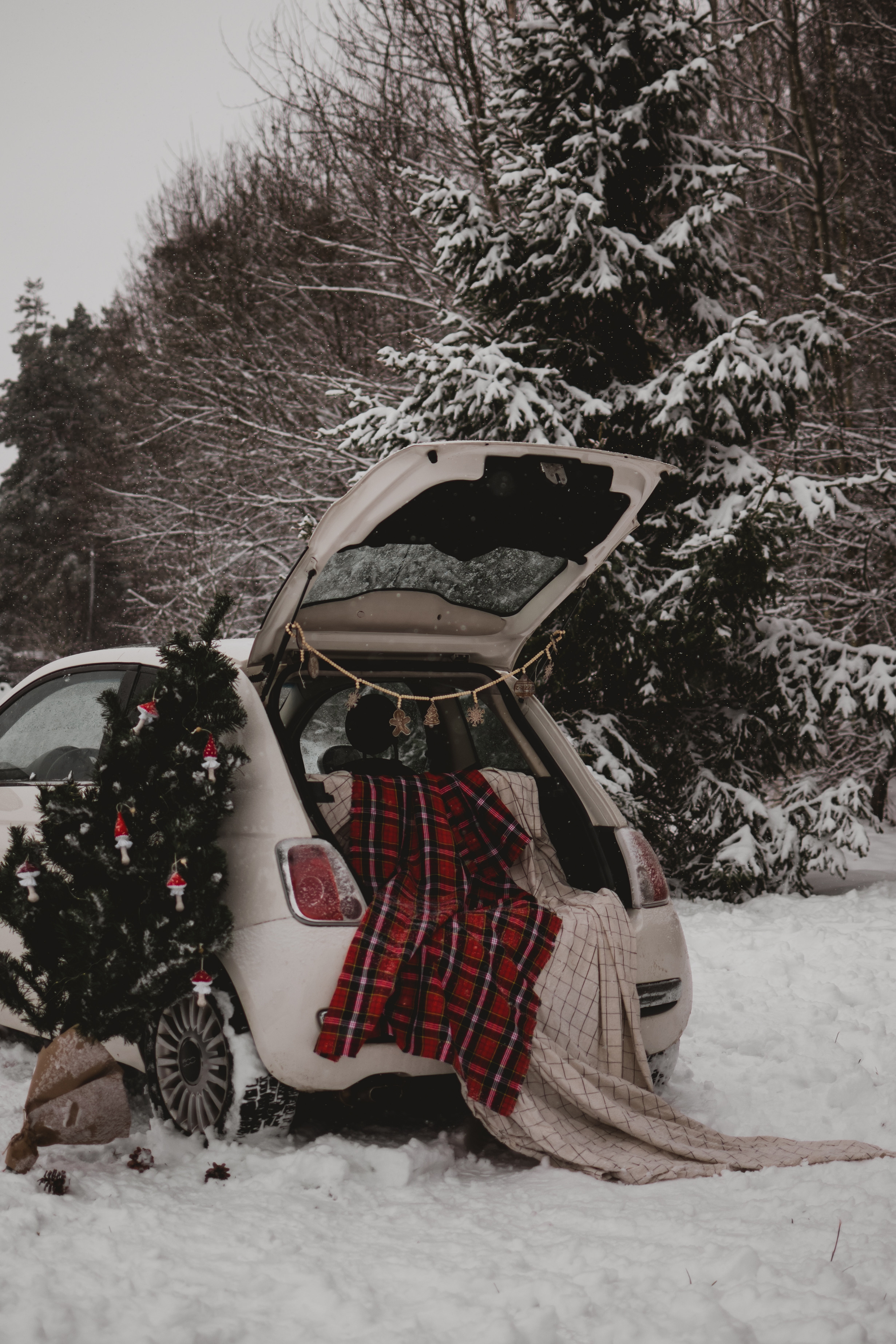 Merry Christmas. Lifestyle фотограф в Жодино Ника Хруцкая