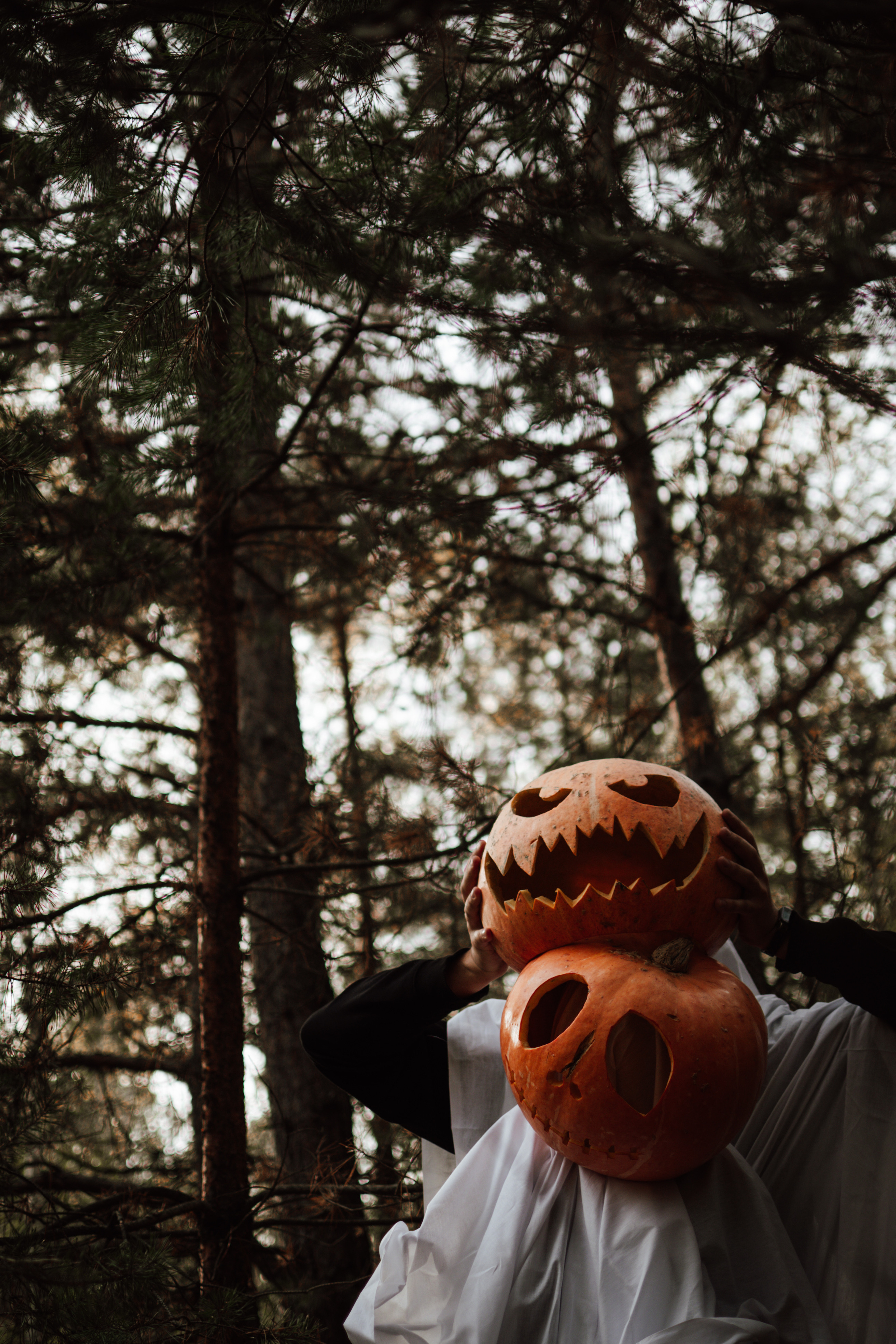 Творческая съемка к Hallowen с тыквами. Lifestyle фотограф в Жодино Ника Хруцкая