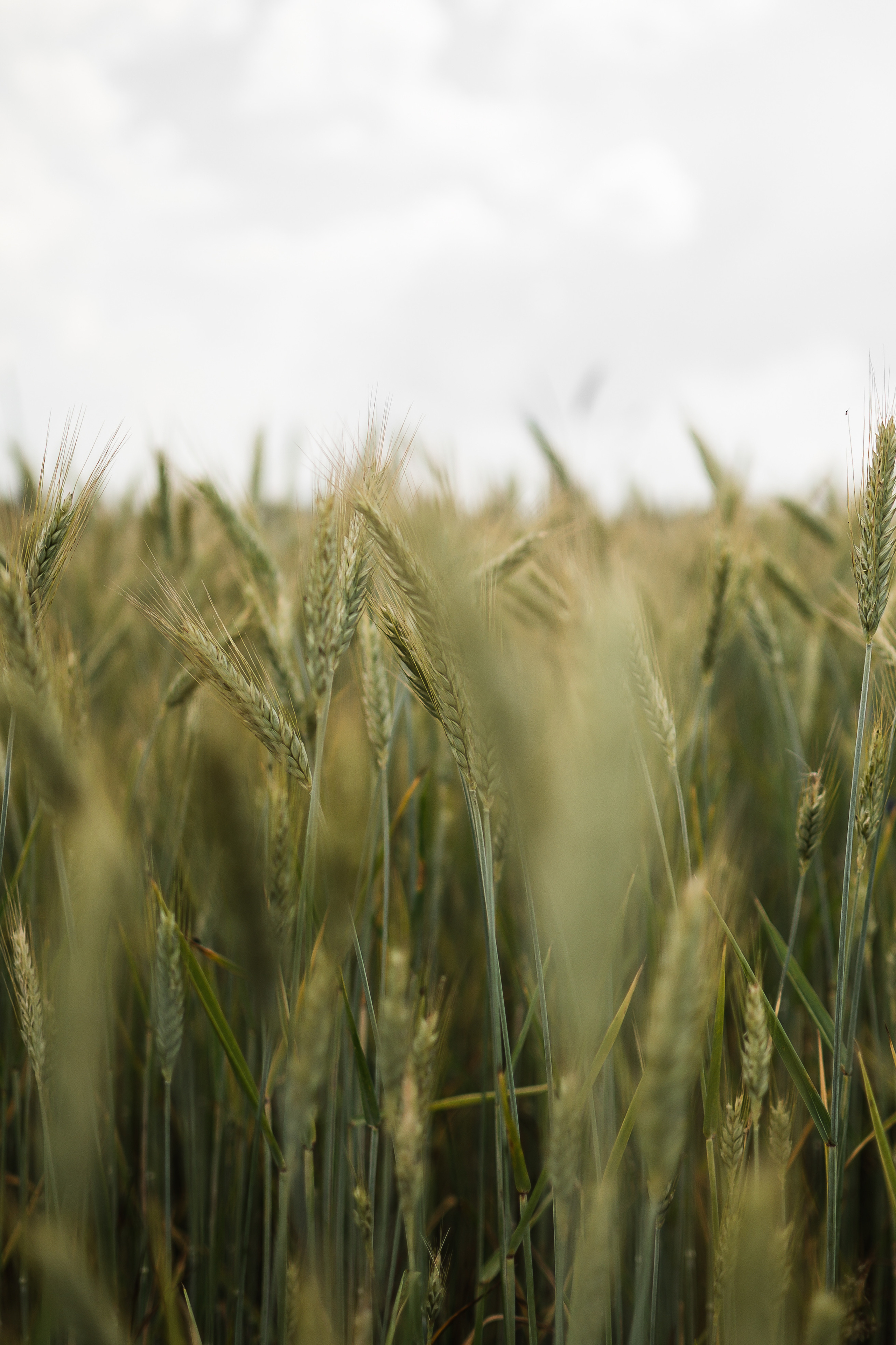 Максим, Даниил и Ярик. Lifestyle фотограф в Жодино Ника Хруцкая