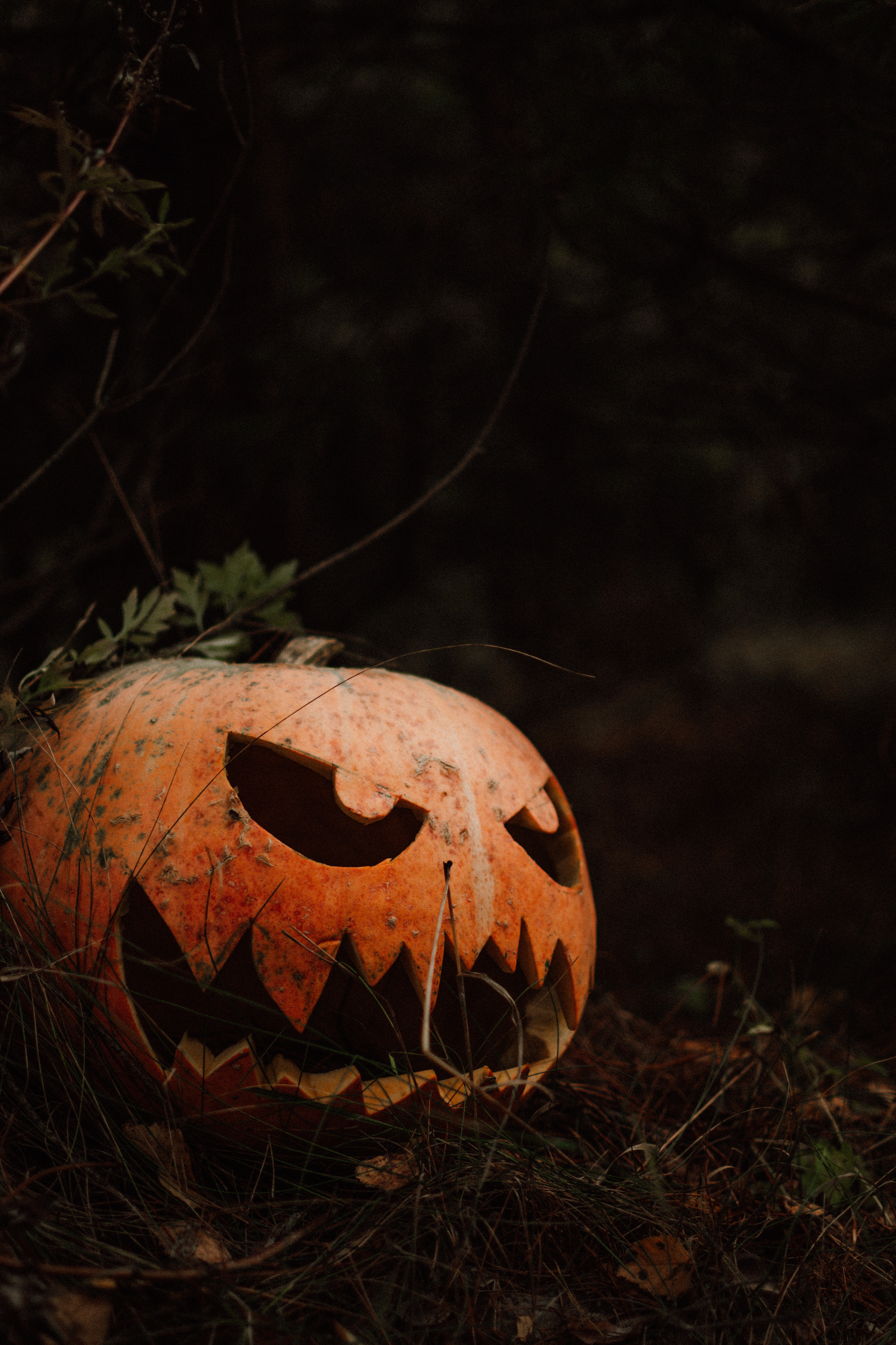 Творческая съемка к Hallowen с тыквами. Lifestyle фотограф в Жодино Ника Хруцкая