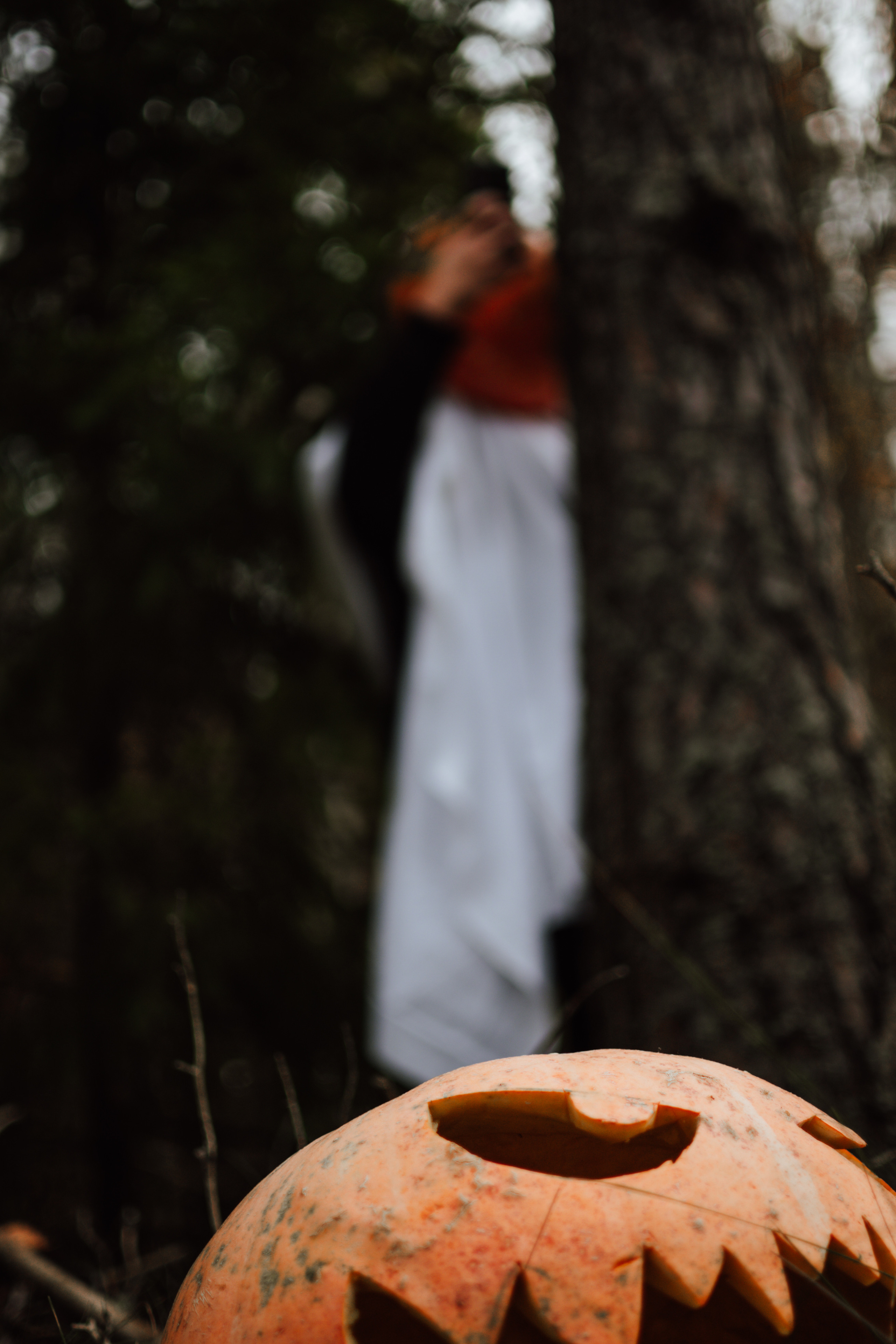 Творческая съемка к Hallowen с тыквами. Lifestyle фотограф в Жодино Ника Хруцкая