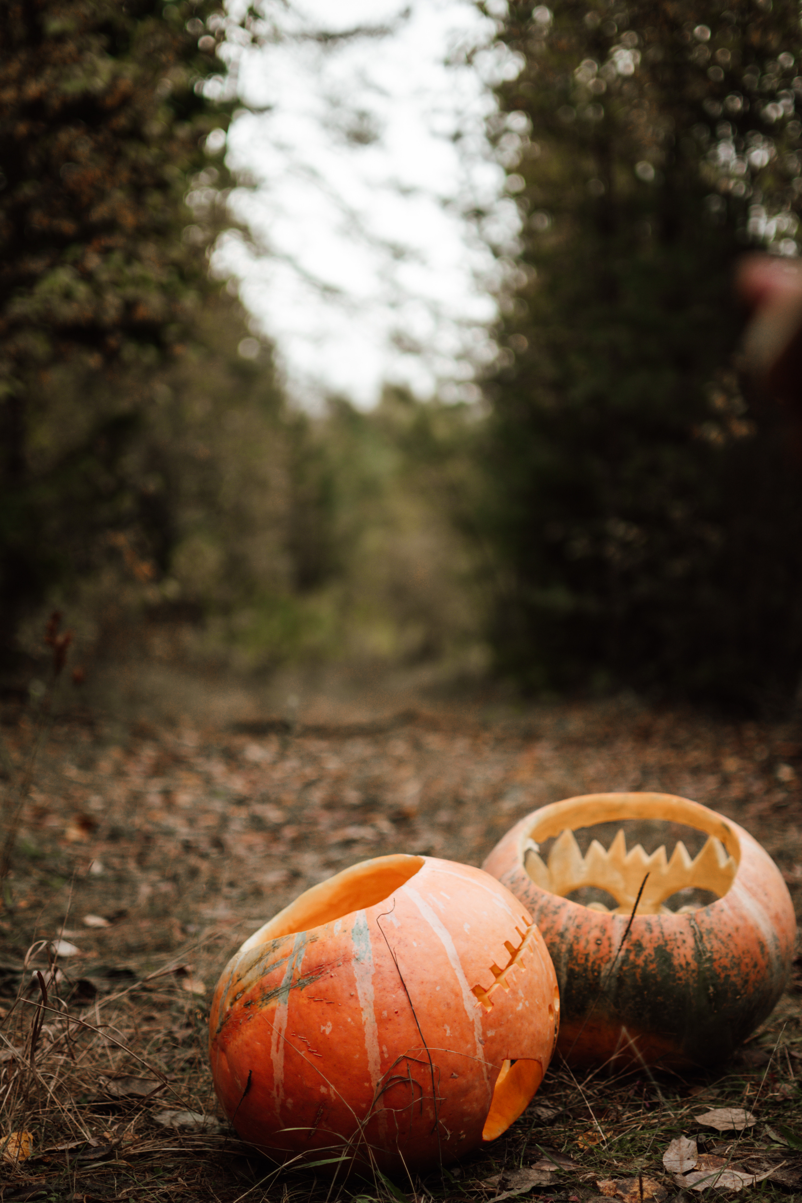 Творческая съемка к Hallowen с тыквами. Lifestyle фотограф в Жодино Ника Хруцкая