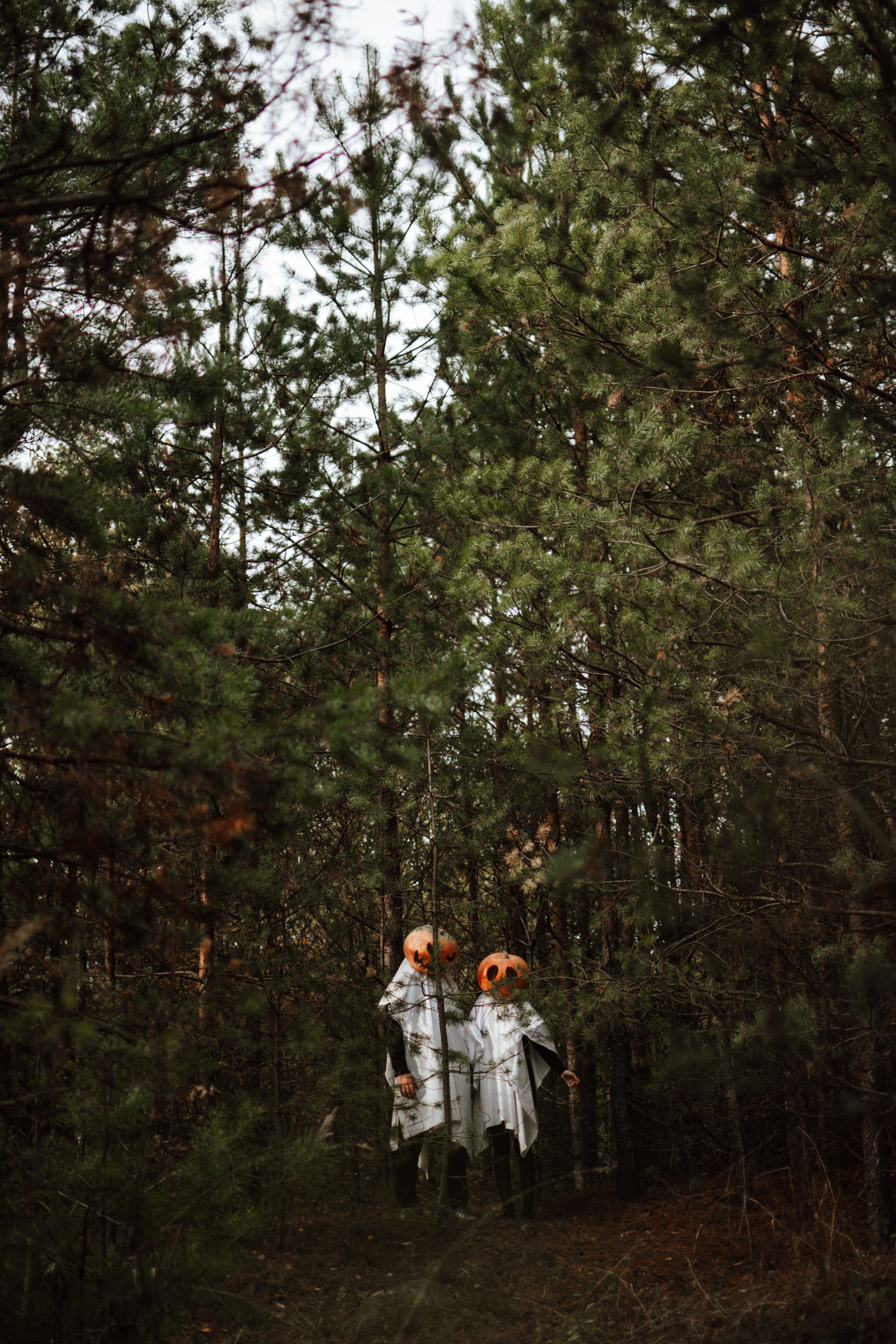 Творческая съемка к Hallowen с тыквами. Lifestyle фотограф в Жодино Ника Хруцкая