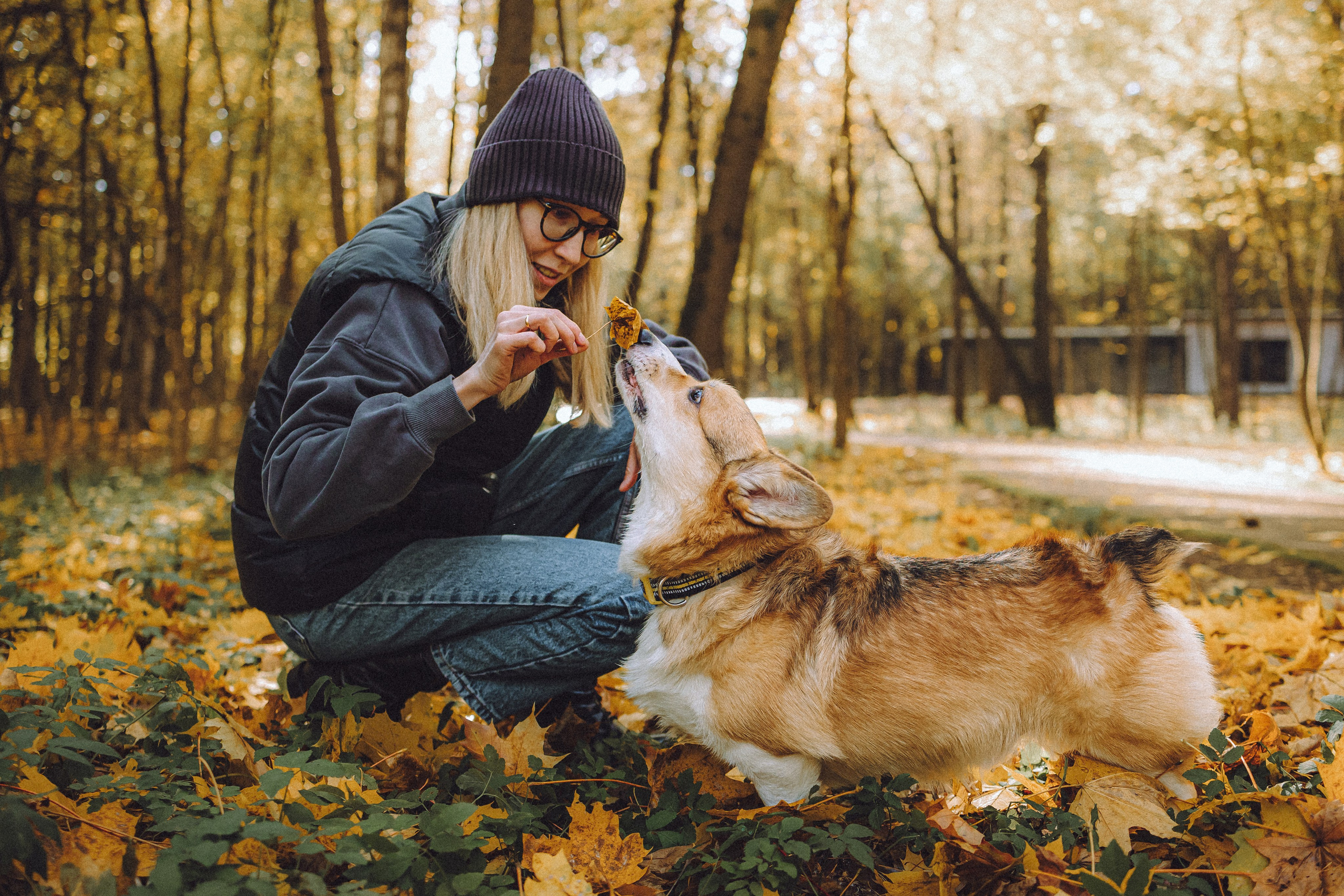Карина, Даня и Аркаша
