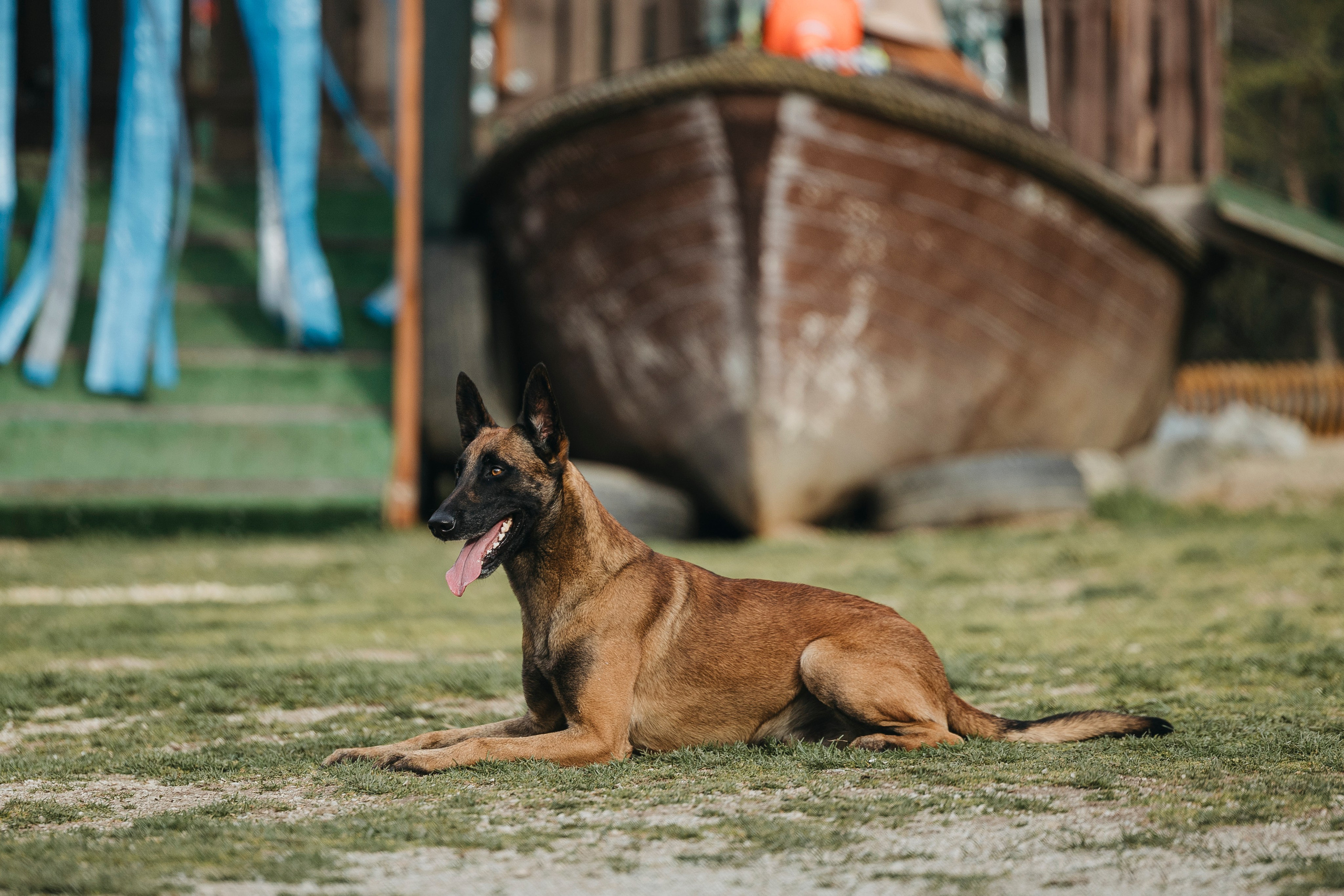 Геленджик Мондьоринг. Фотограф-анималист Анна Маринич