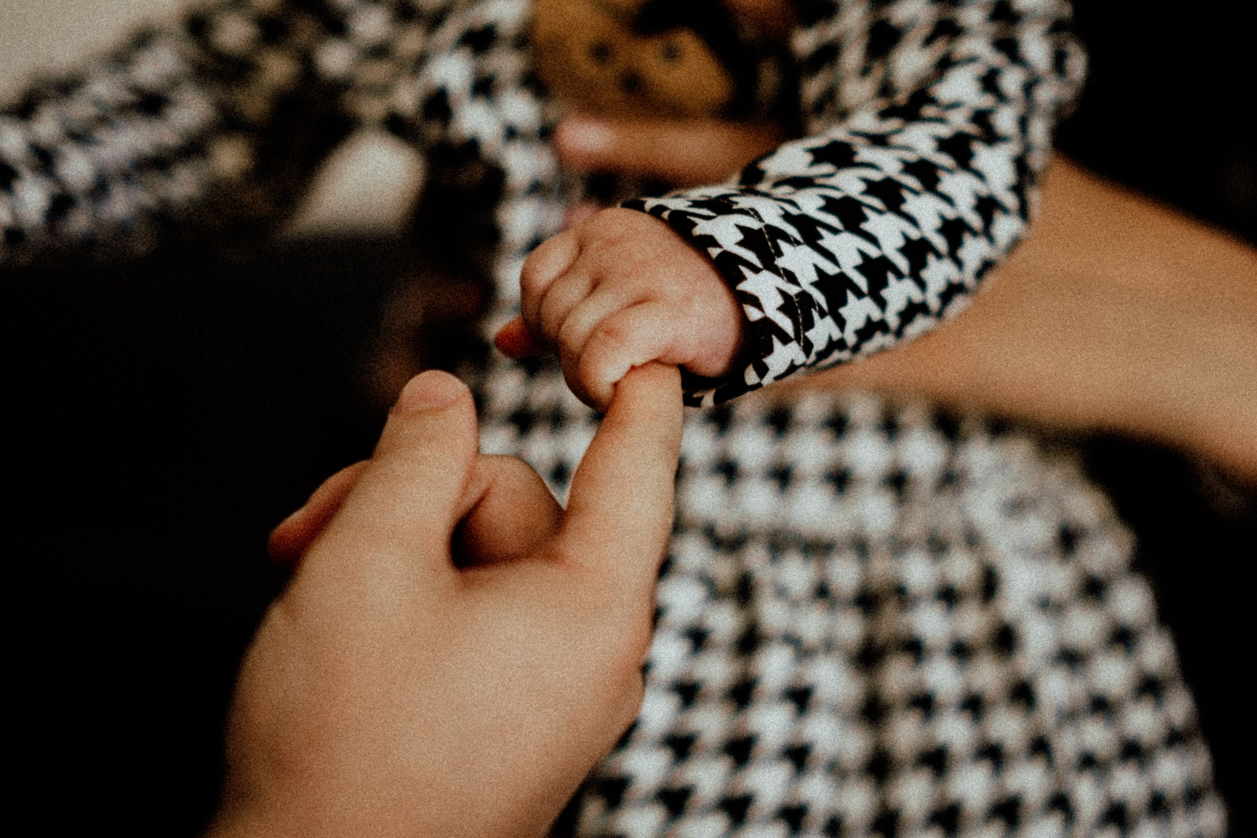 Семья Савитских. Свадебный фотограф Челябинск