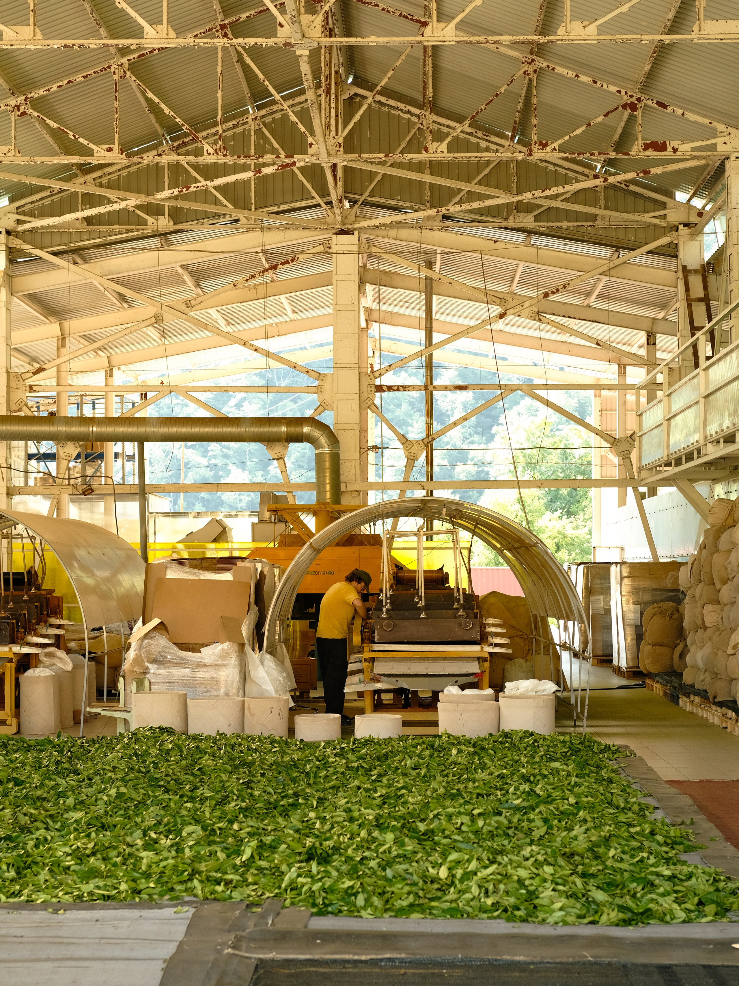 Сочи. Фотограф Сергей Красников