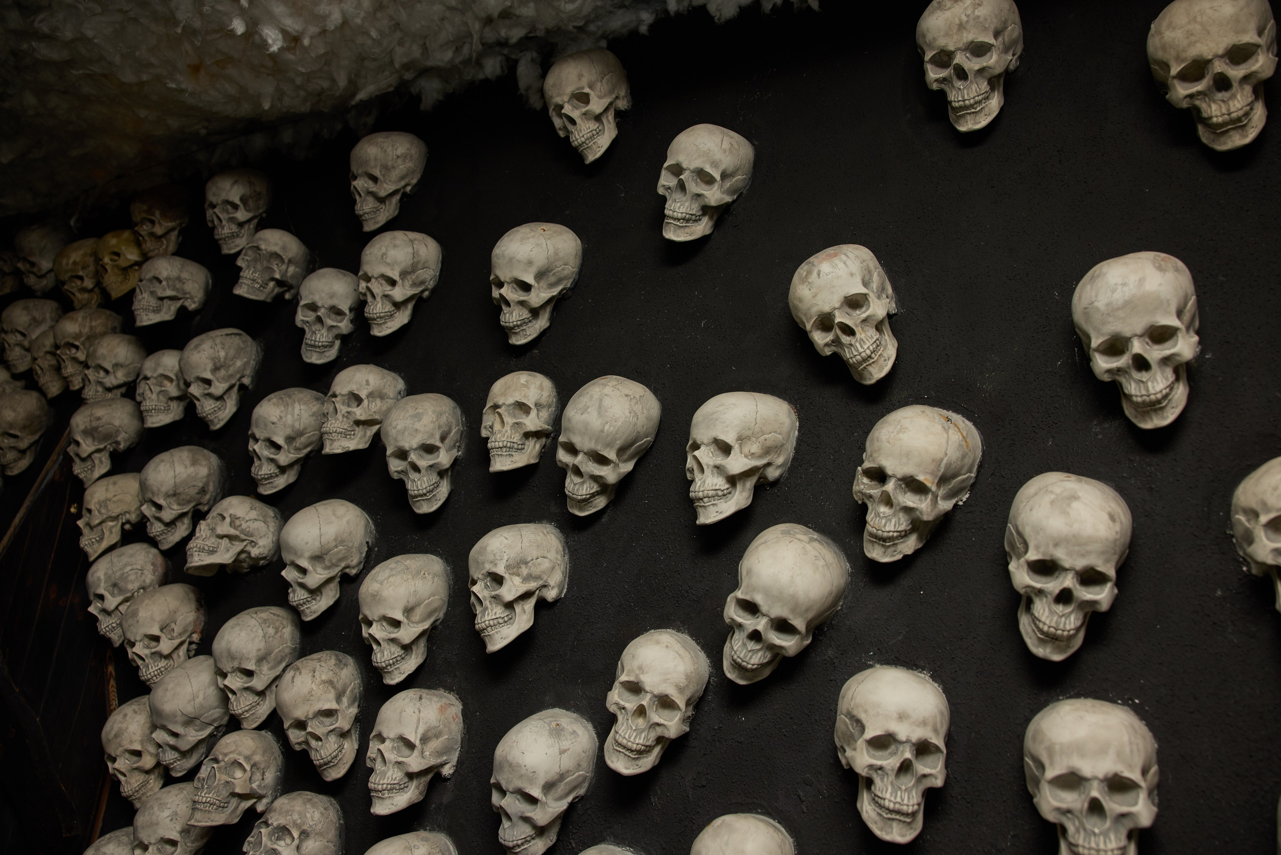 В сказке. Михаил Данилов | Фотограф