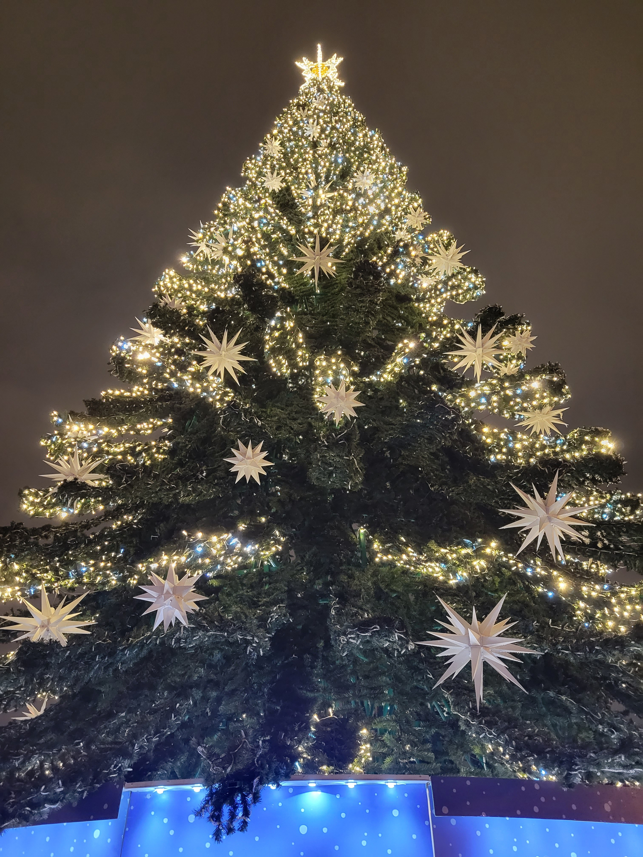 Елка на стрелке тоже красивая, прямая. 