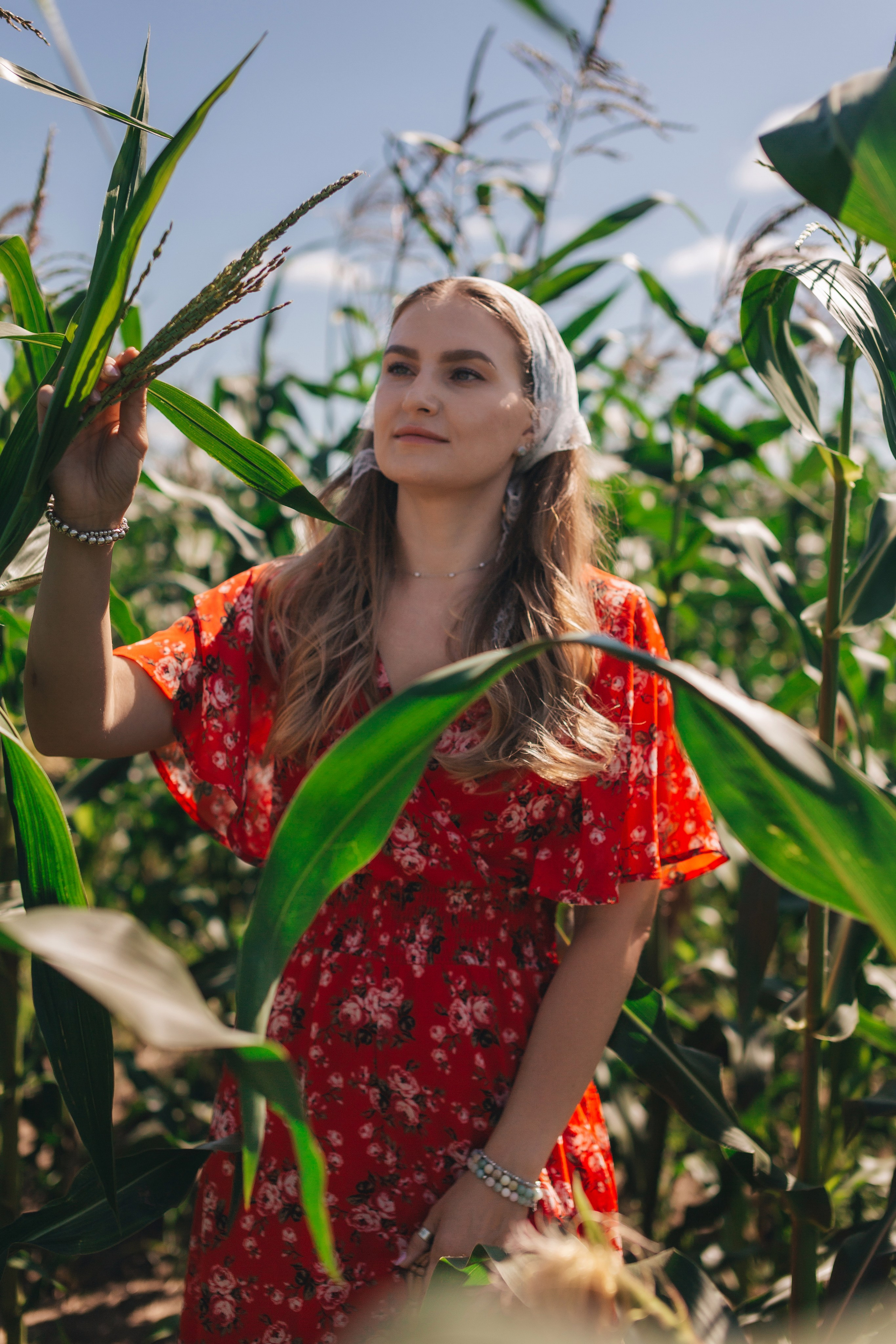 Кукуруза. Семейный и художественный фотограф в Тюмени Юлия Логинова
