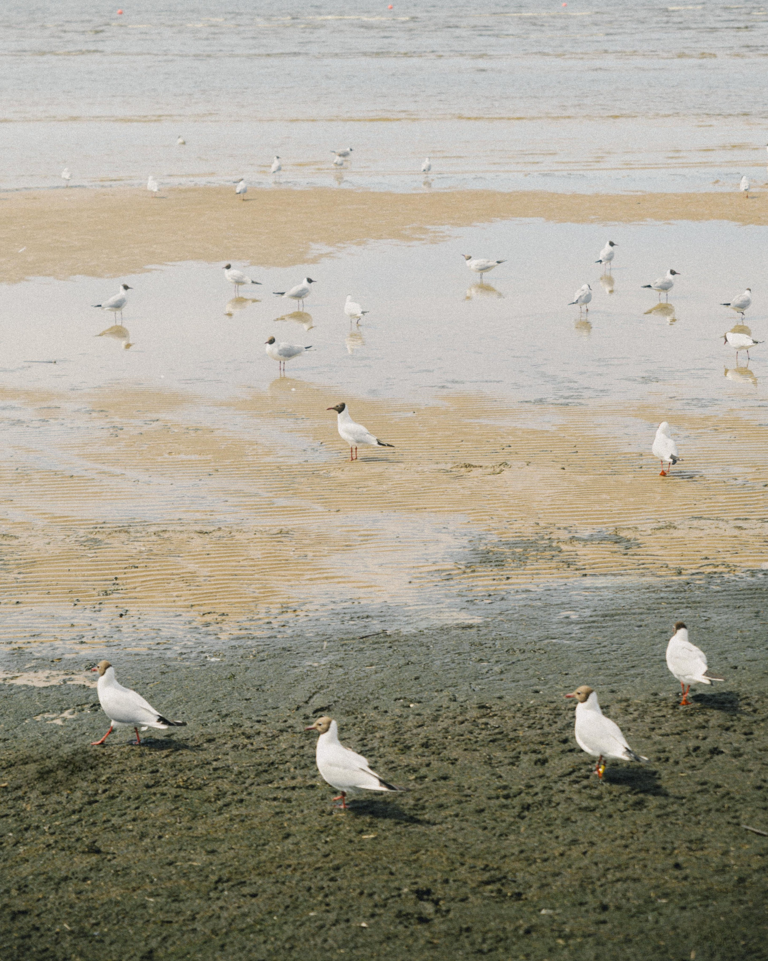 Наше маленькое море. Вадим Зименков