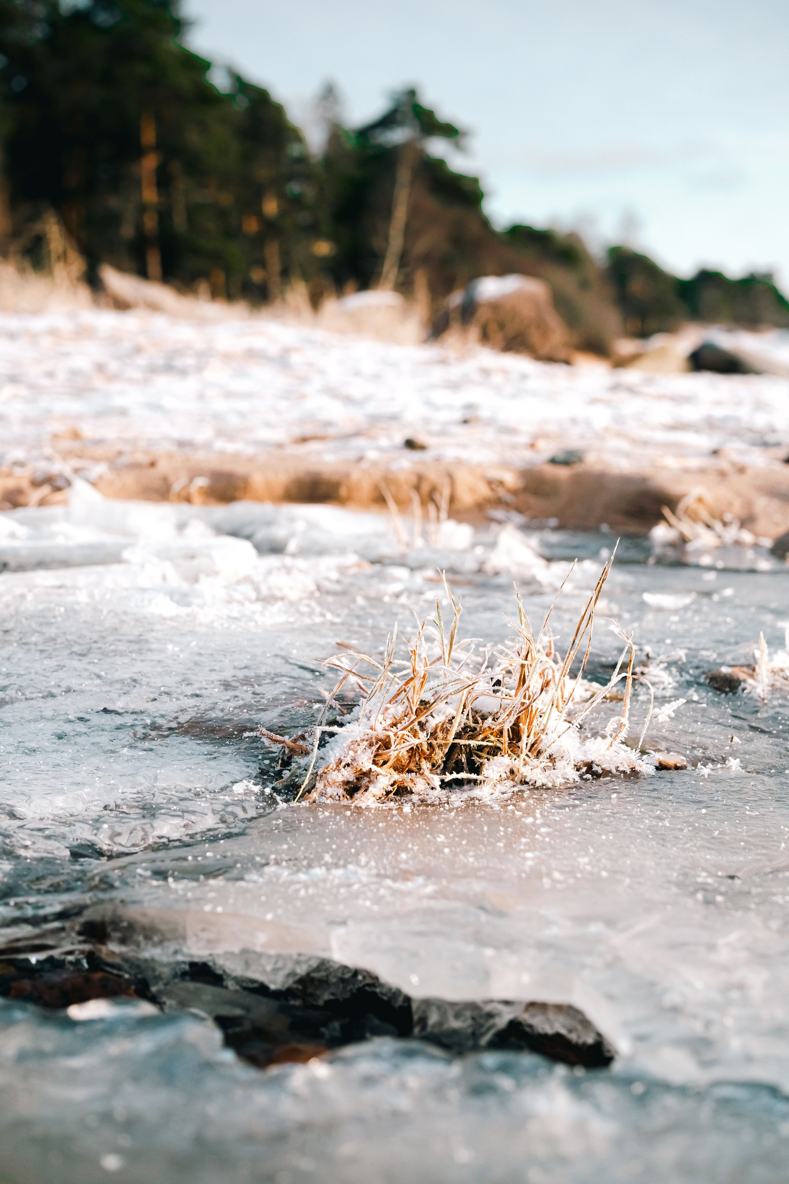 Финский Залив. Портретный и репортажный фотограф в Санкт-Петербурге Смоляков Максим