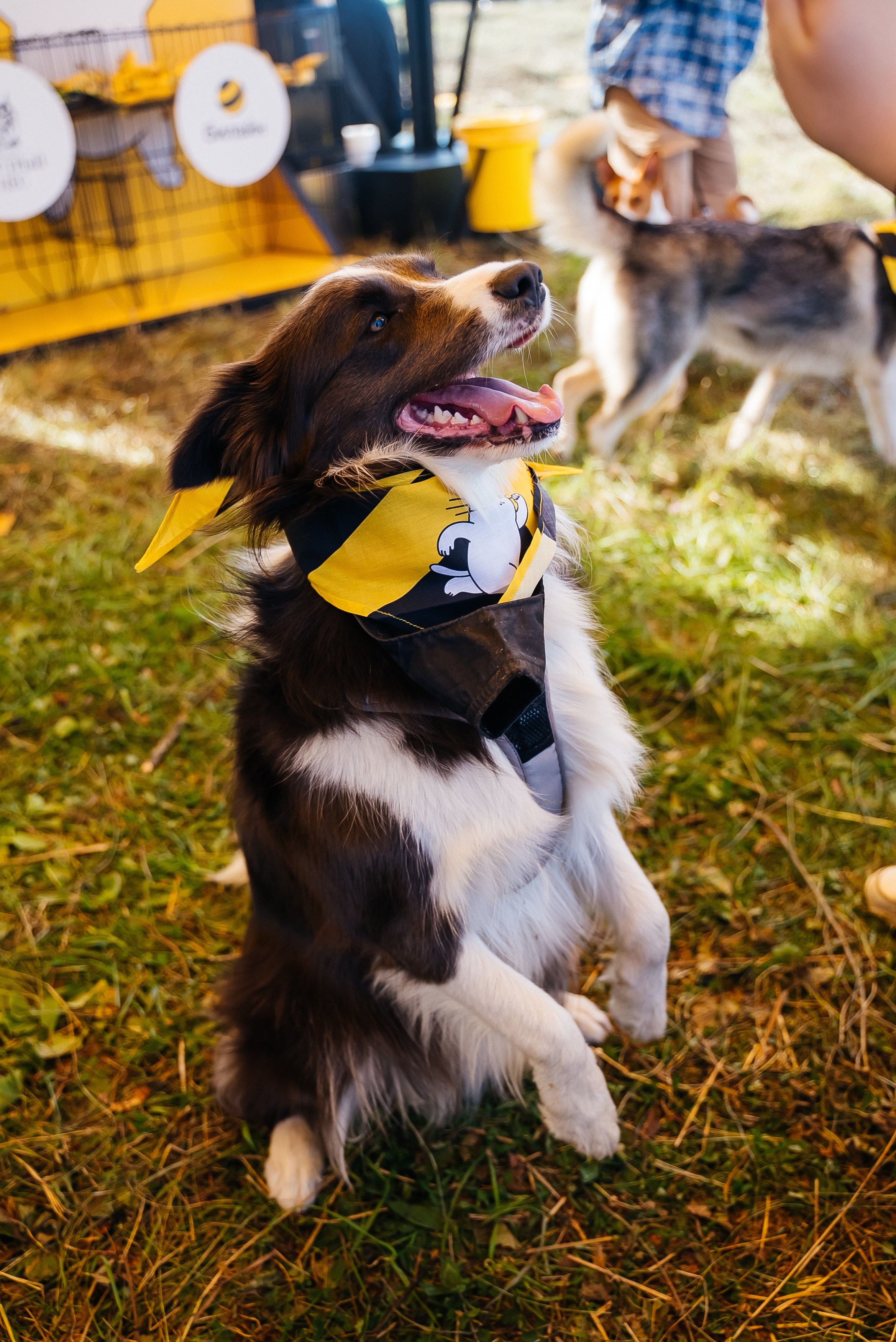 Билайн. Павел Краснов — Свадебный и репортажный фотограф в Москве