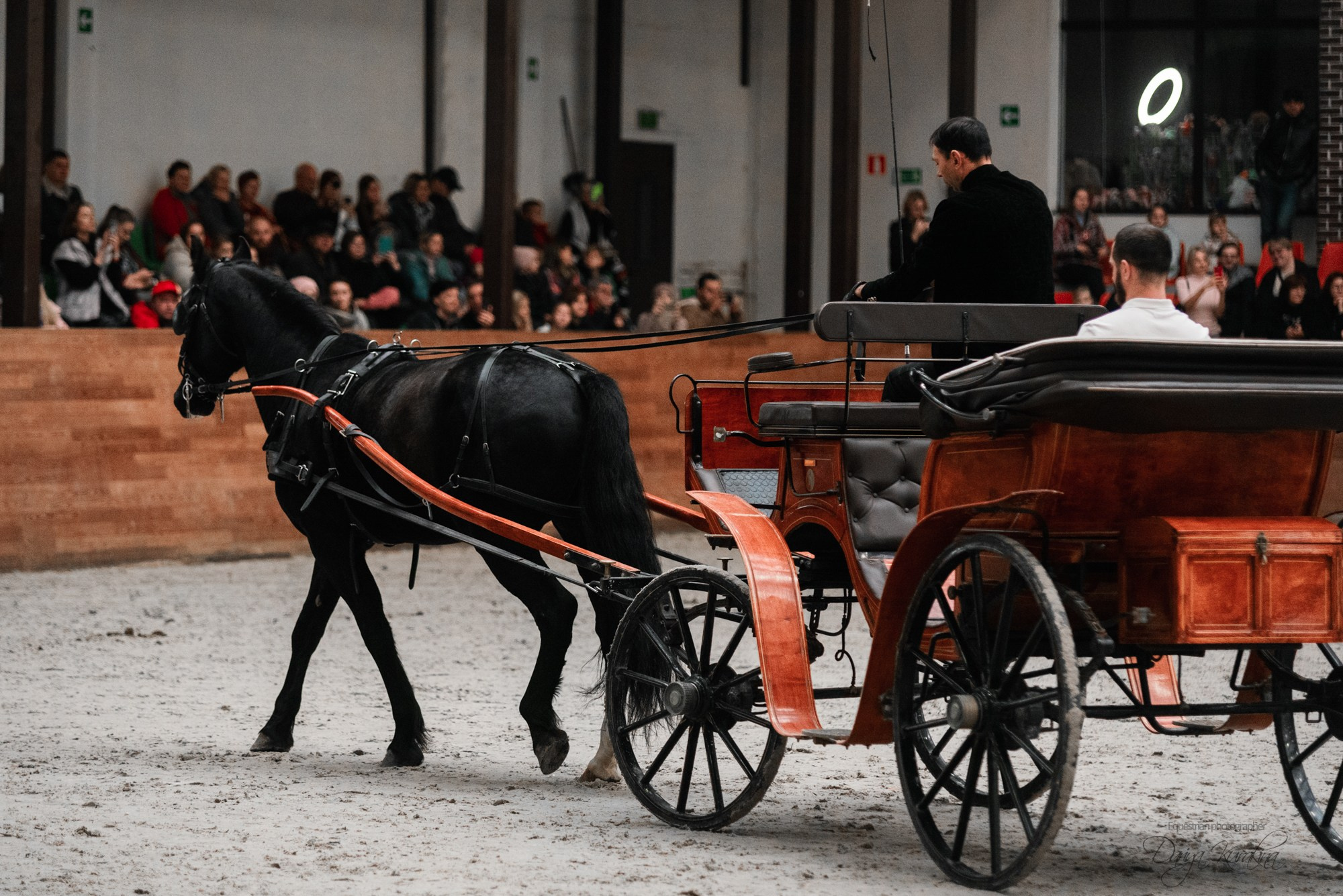 8-я международная выставка Конная Россия. Конный фотограф Куракина Дарья • Фотосессии с лошадьми
