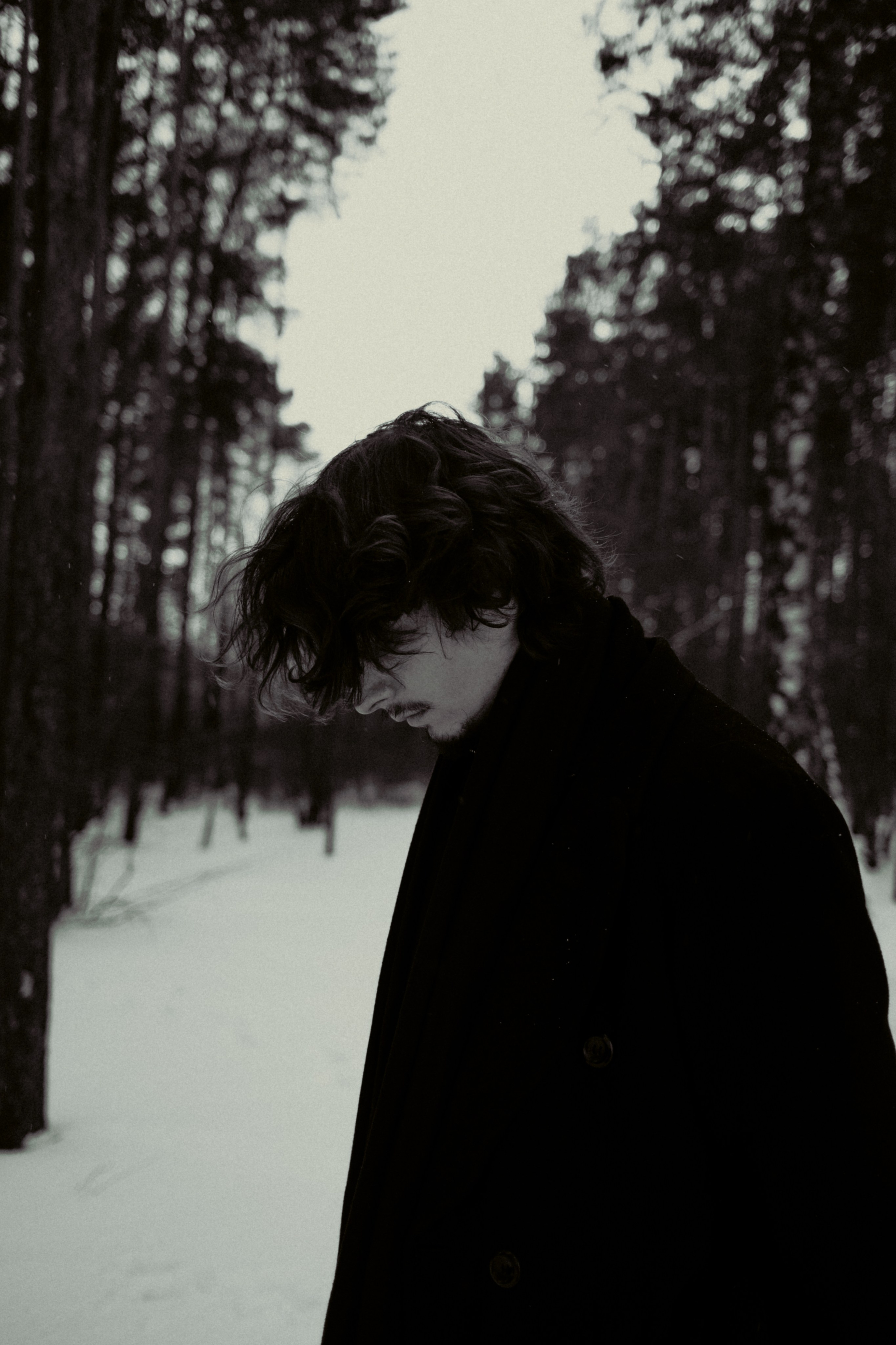 Yan. MAX TIHANKOV