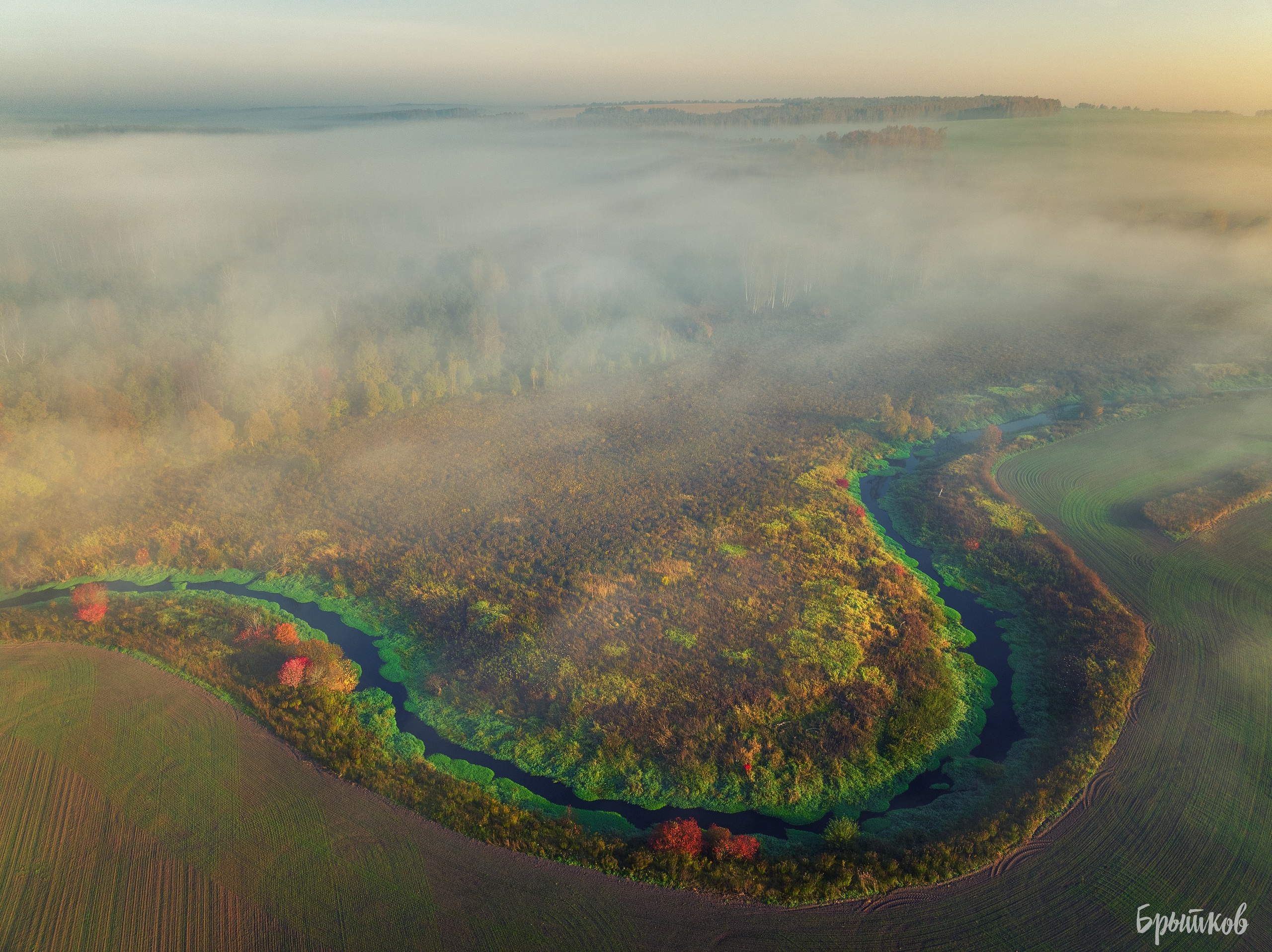 Бежин луг туман Брытков Николай