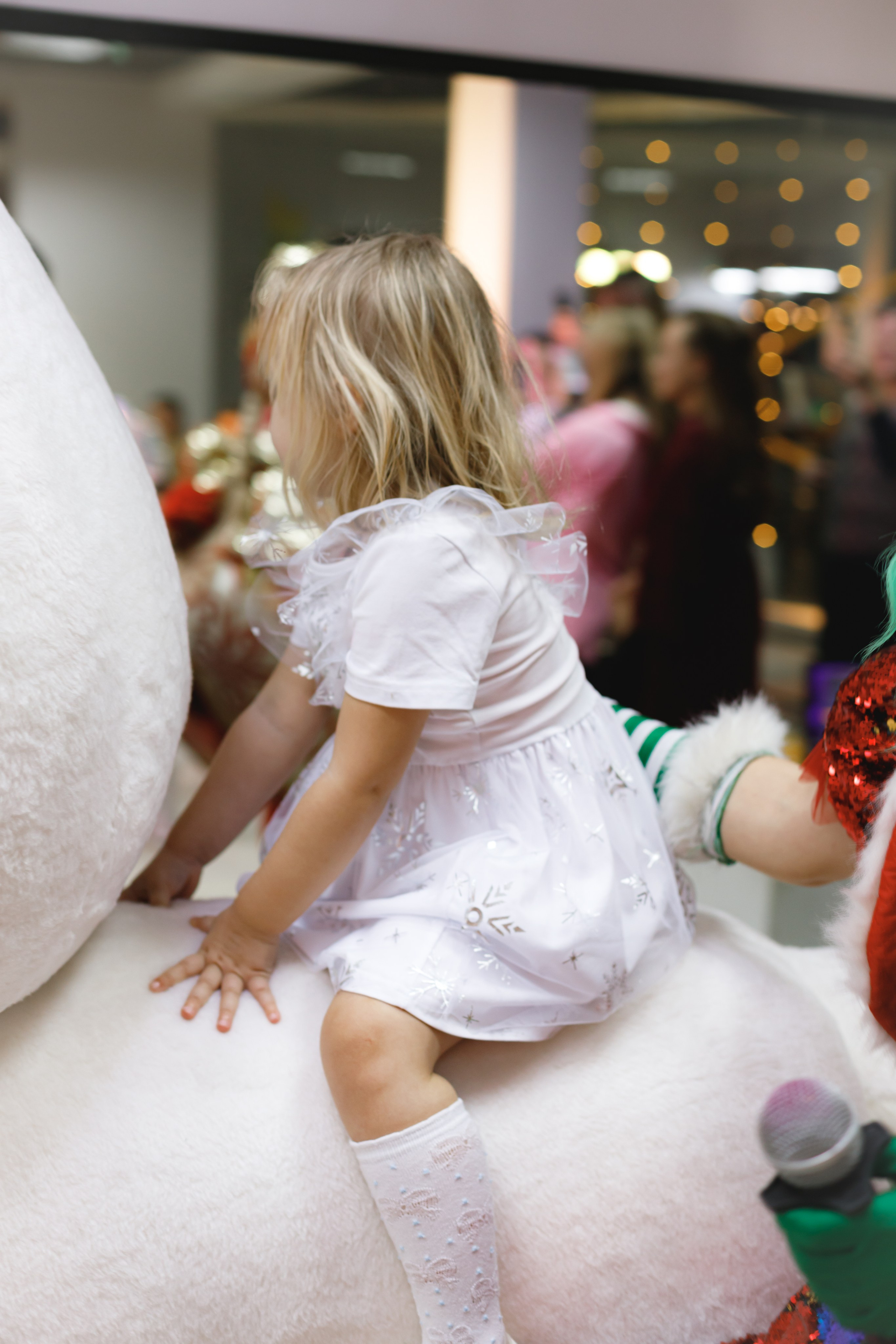 Happy new year. Photokarish