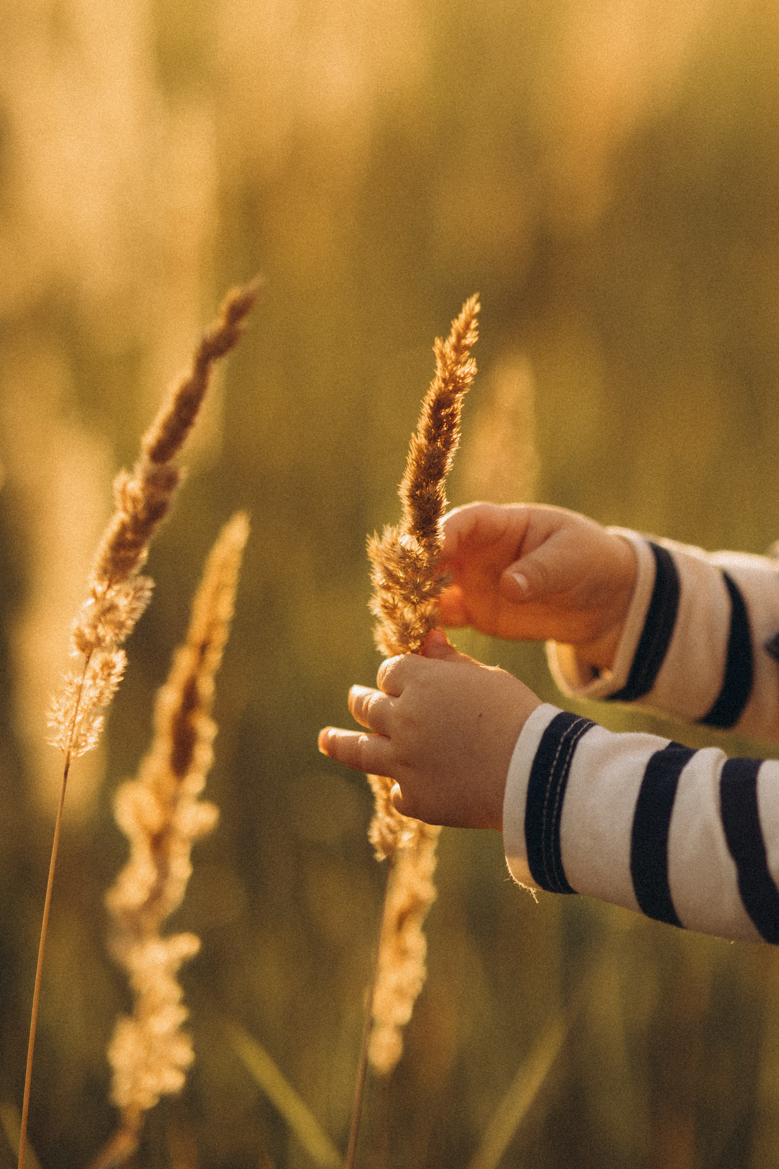 FAMILY. Фотограф в Дананге Элина Уразманова