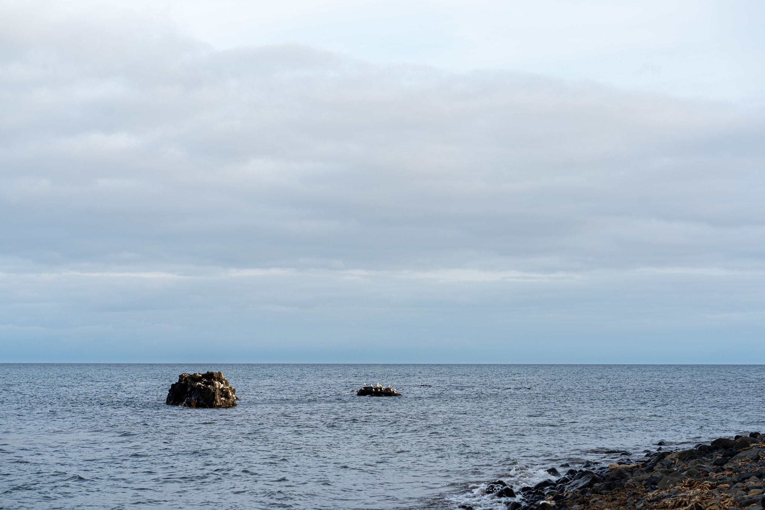 Сахалин 2025. Творческие сьемки