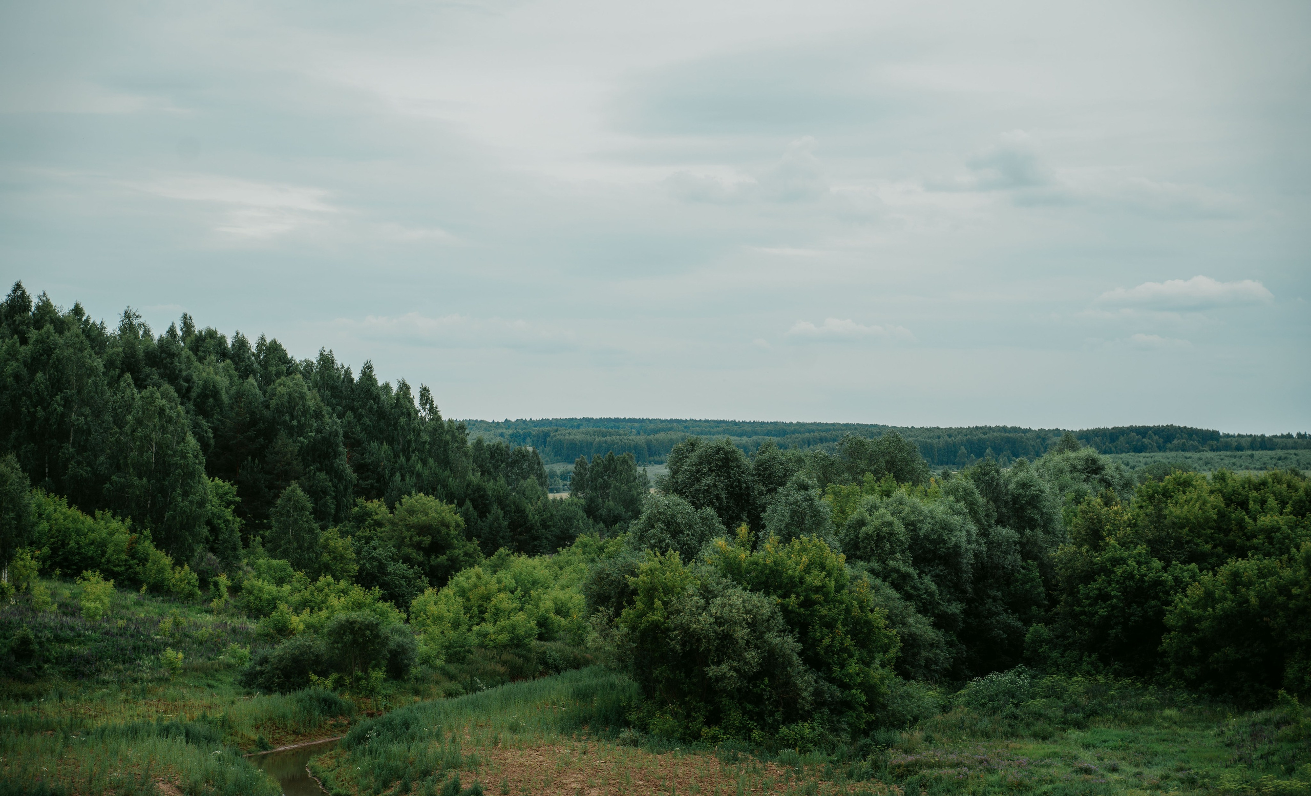 Гектария. Встреча лидеров мнений / 2023. Саша Копылов, фотограф в Казани
