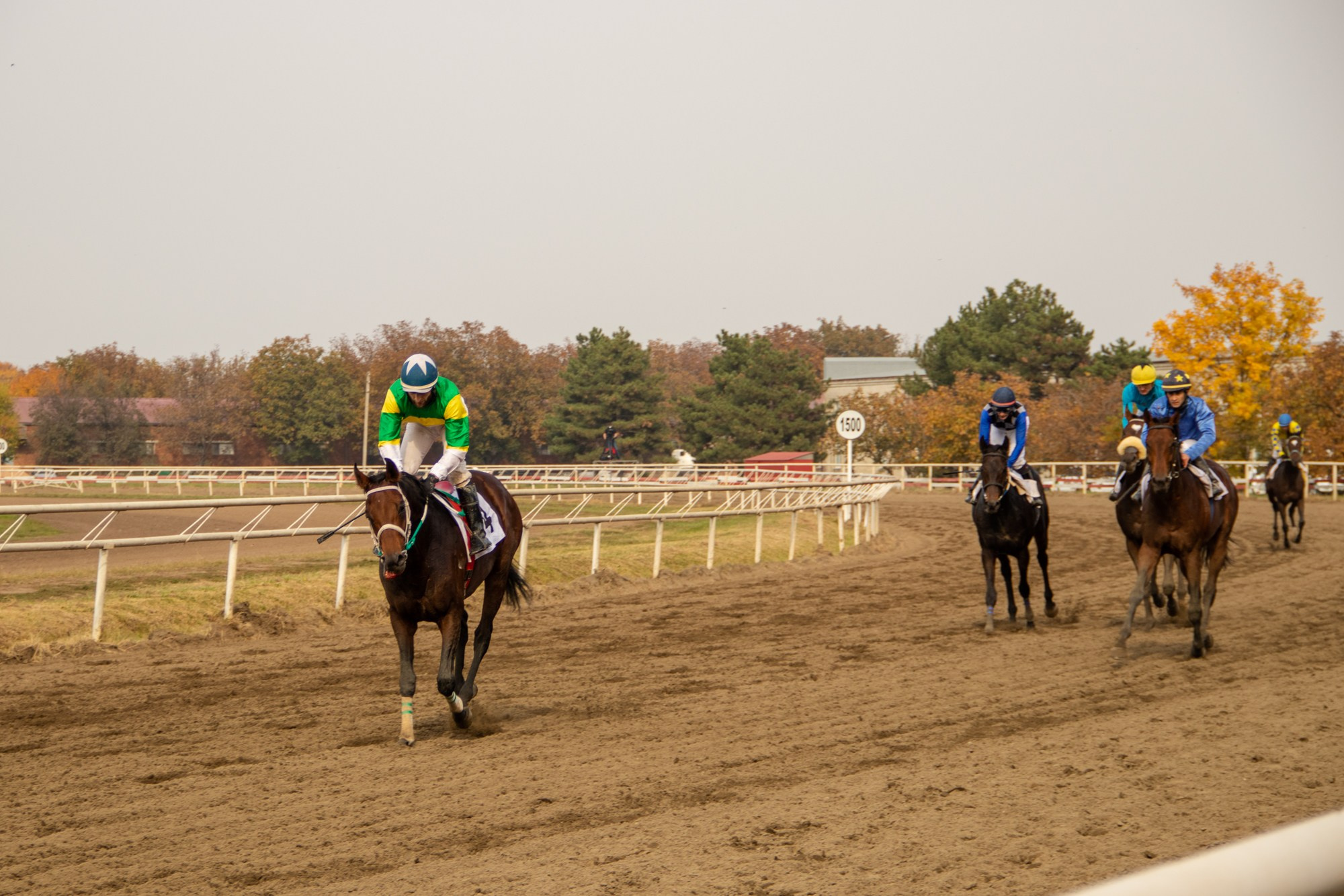 Закрытие скакового сезона на Краснодарском ипподроме. Репортажный, промышленный и маркетплейс-фотограф Дмитрий Чернат