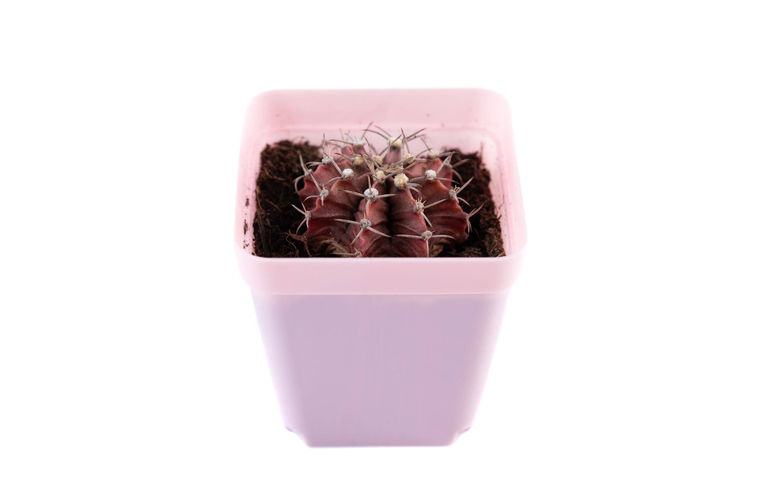 Предметная съёмка для маркетплейсов и каталогов