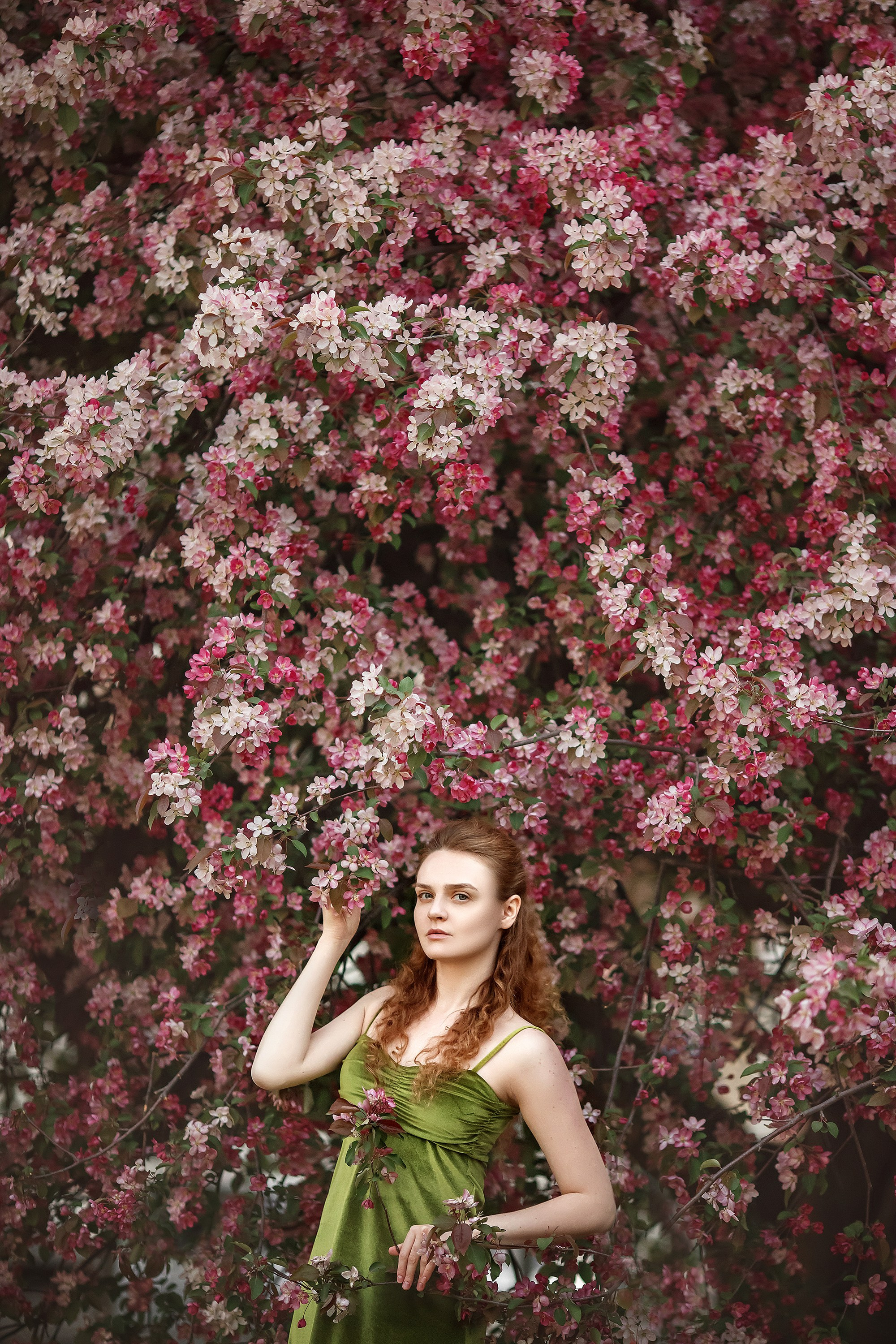 Цветение. Сказочный фотограф фотопроекты фототуры в Новосибирске и на Алтае