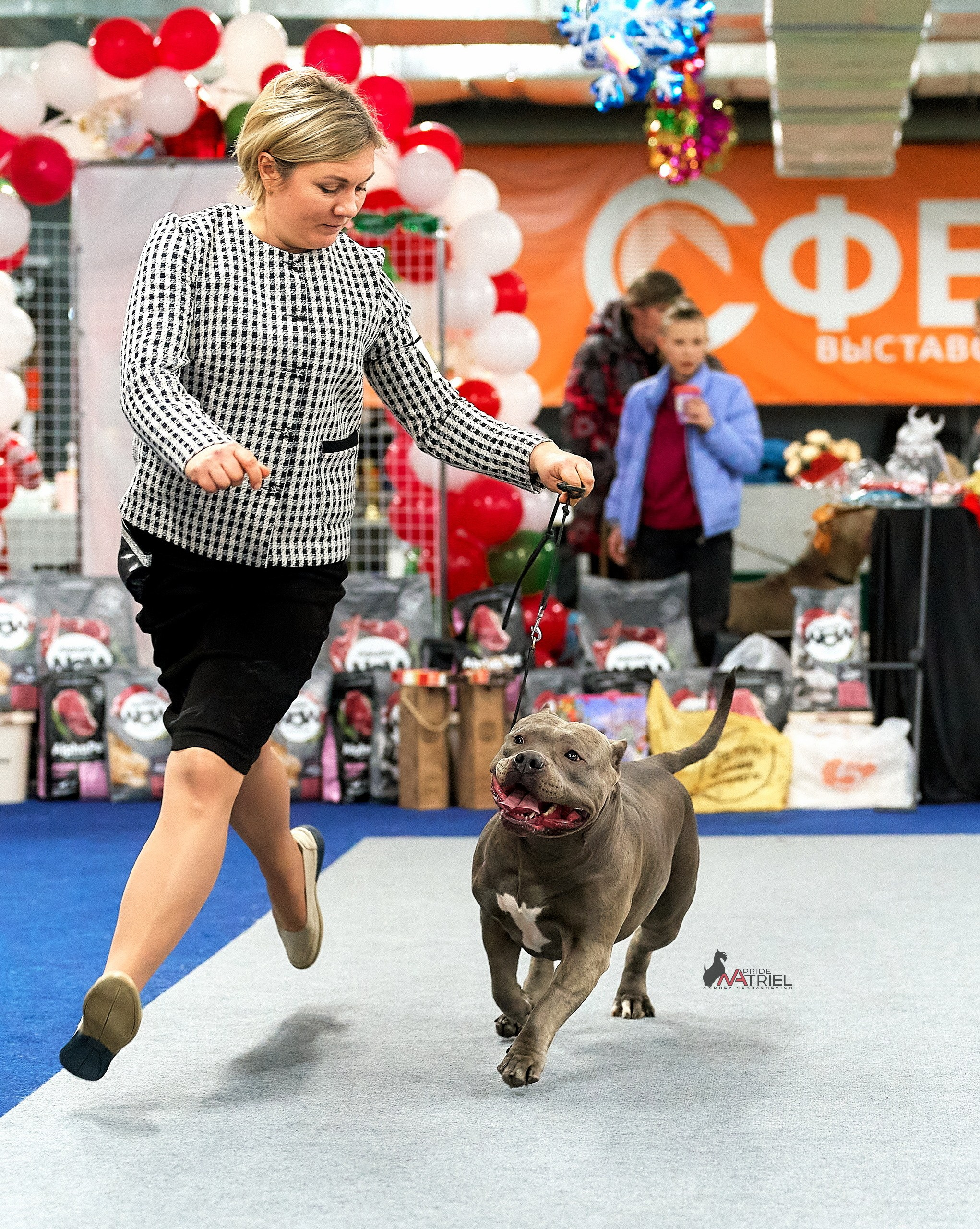 Работа в рингах — галерея NATRIEL