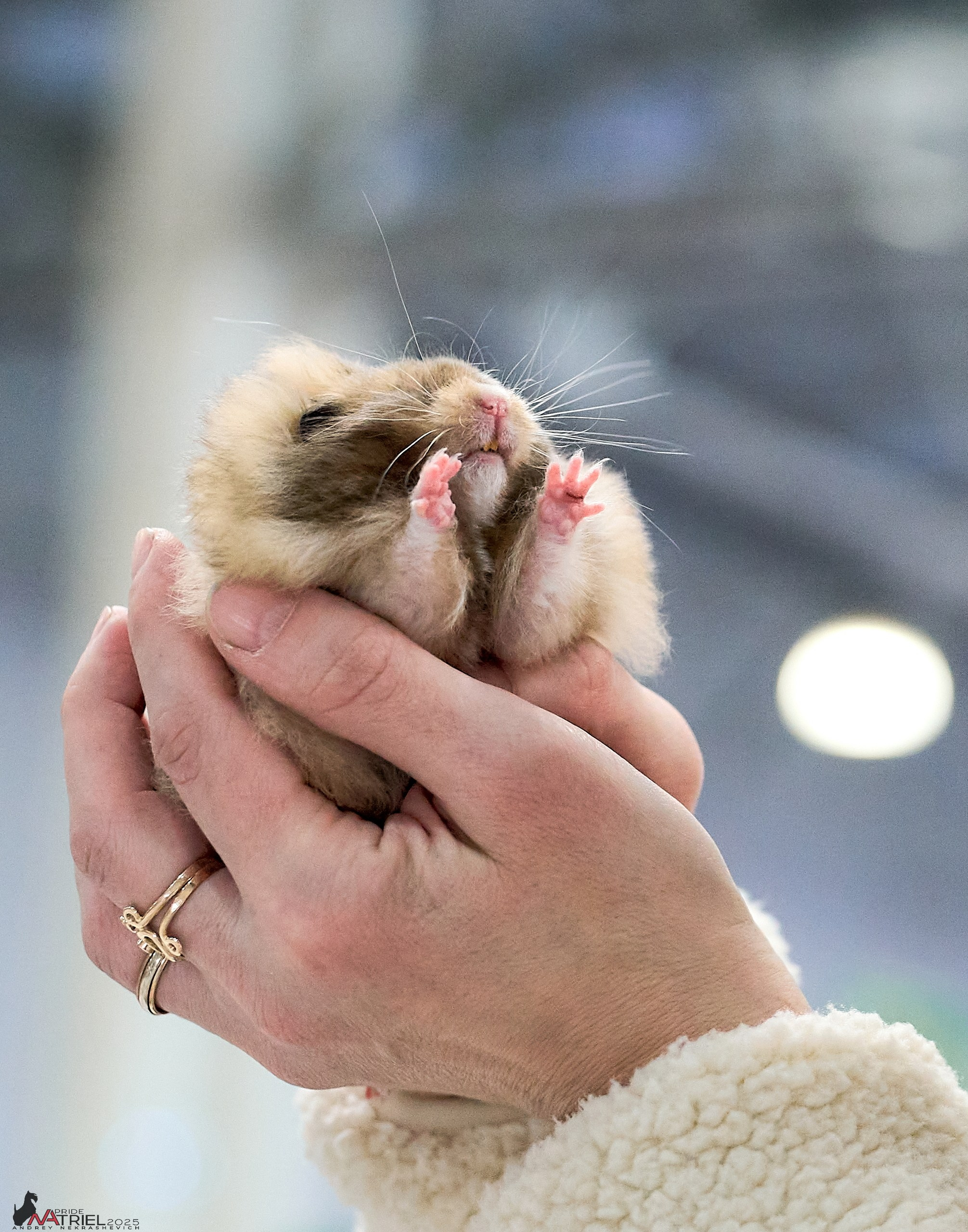 Репортаж с ЗООФЕСТ в Крокусе