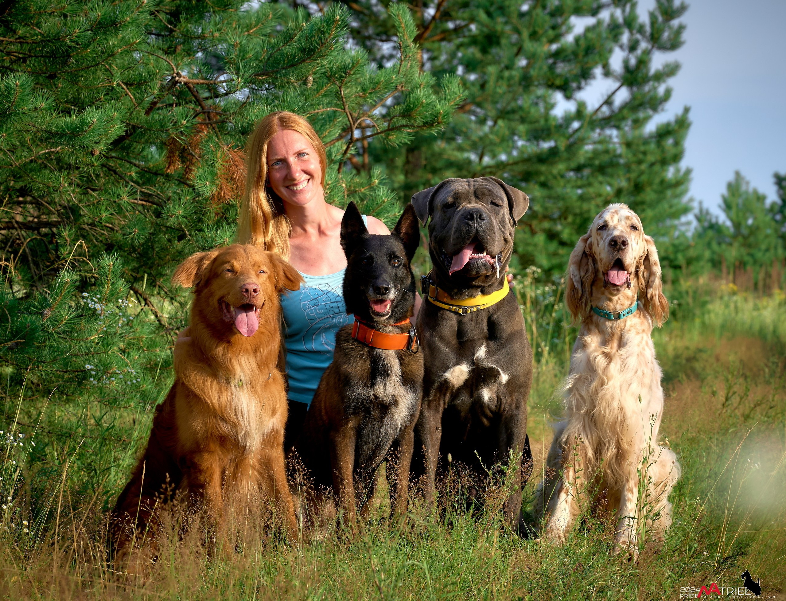 Репортаж из кинологического лагеря