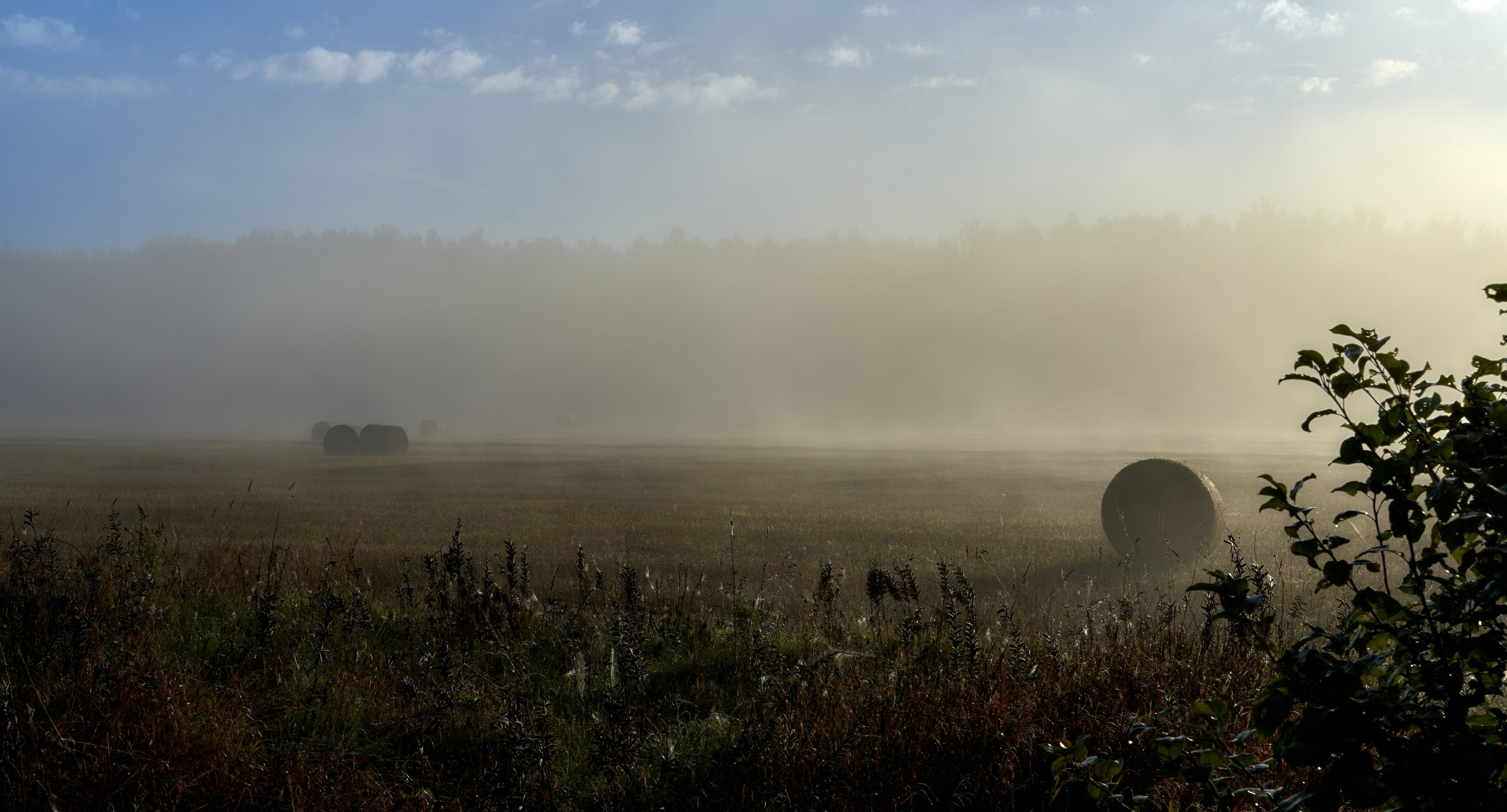 Пейзаж — галерея NATRIEL