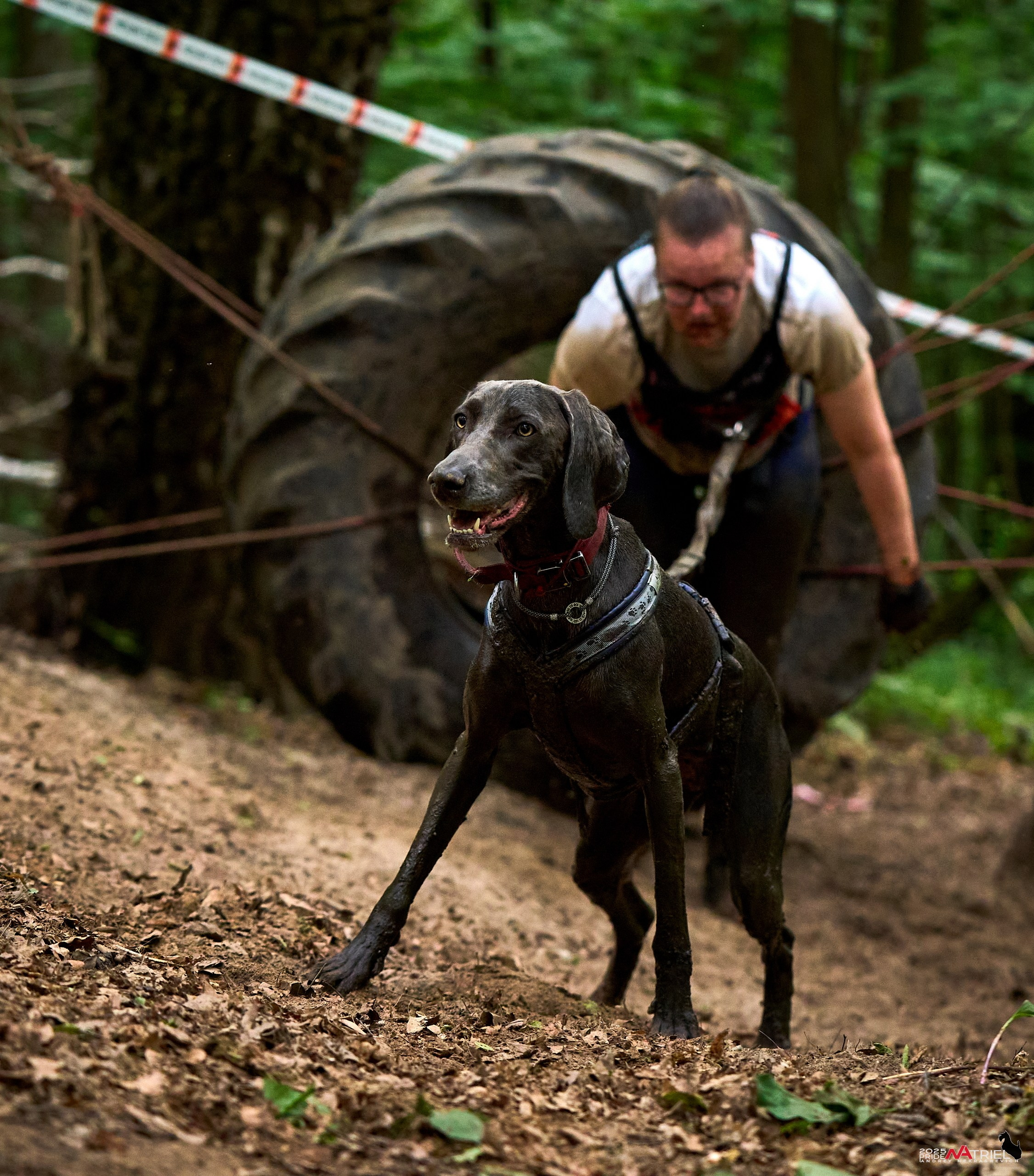 Russian Extreme Dog Trail — 2025