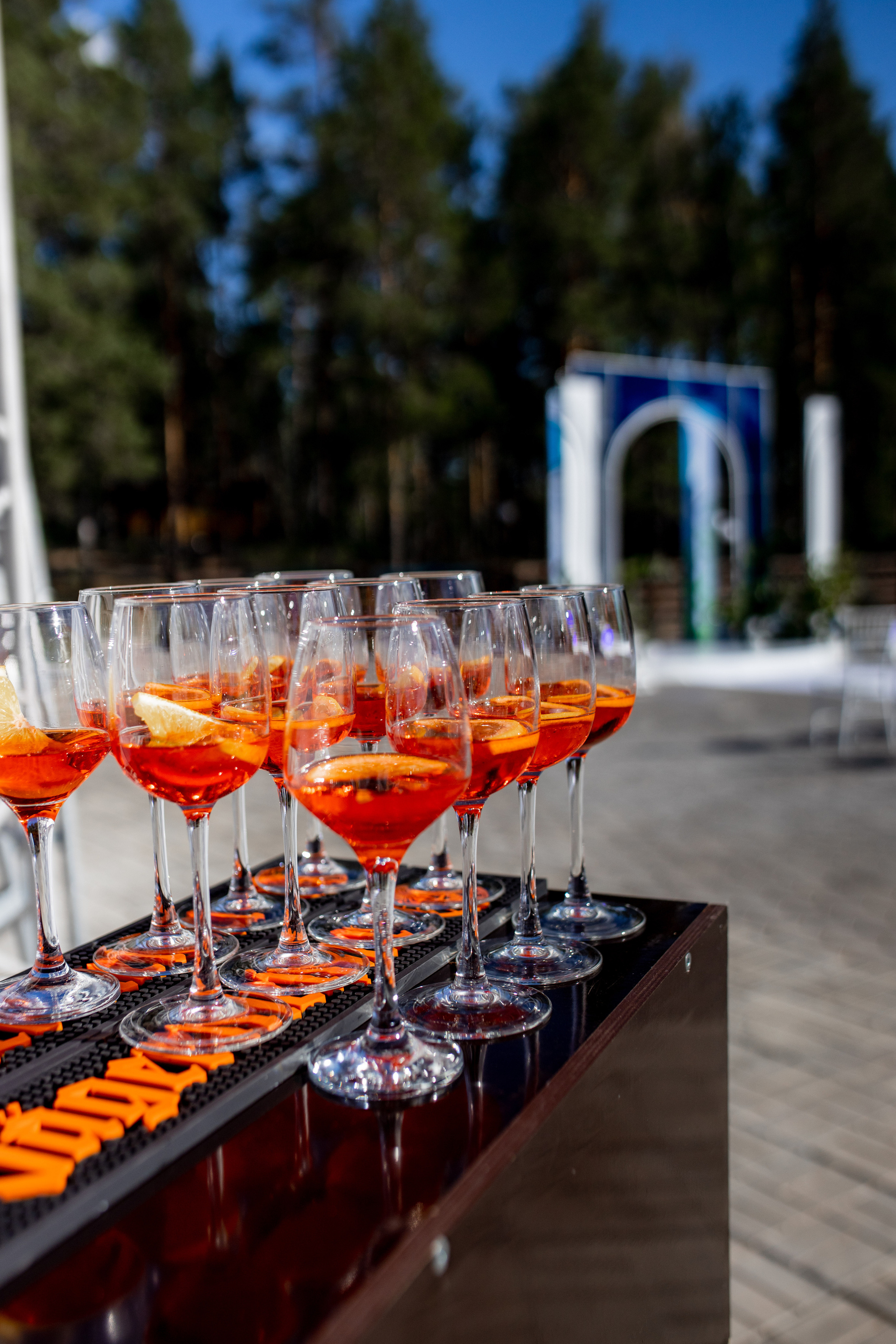 Елена и Павел. Фотограф Дарья Норкина