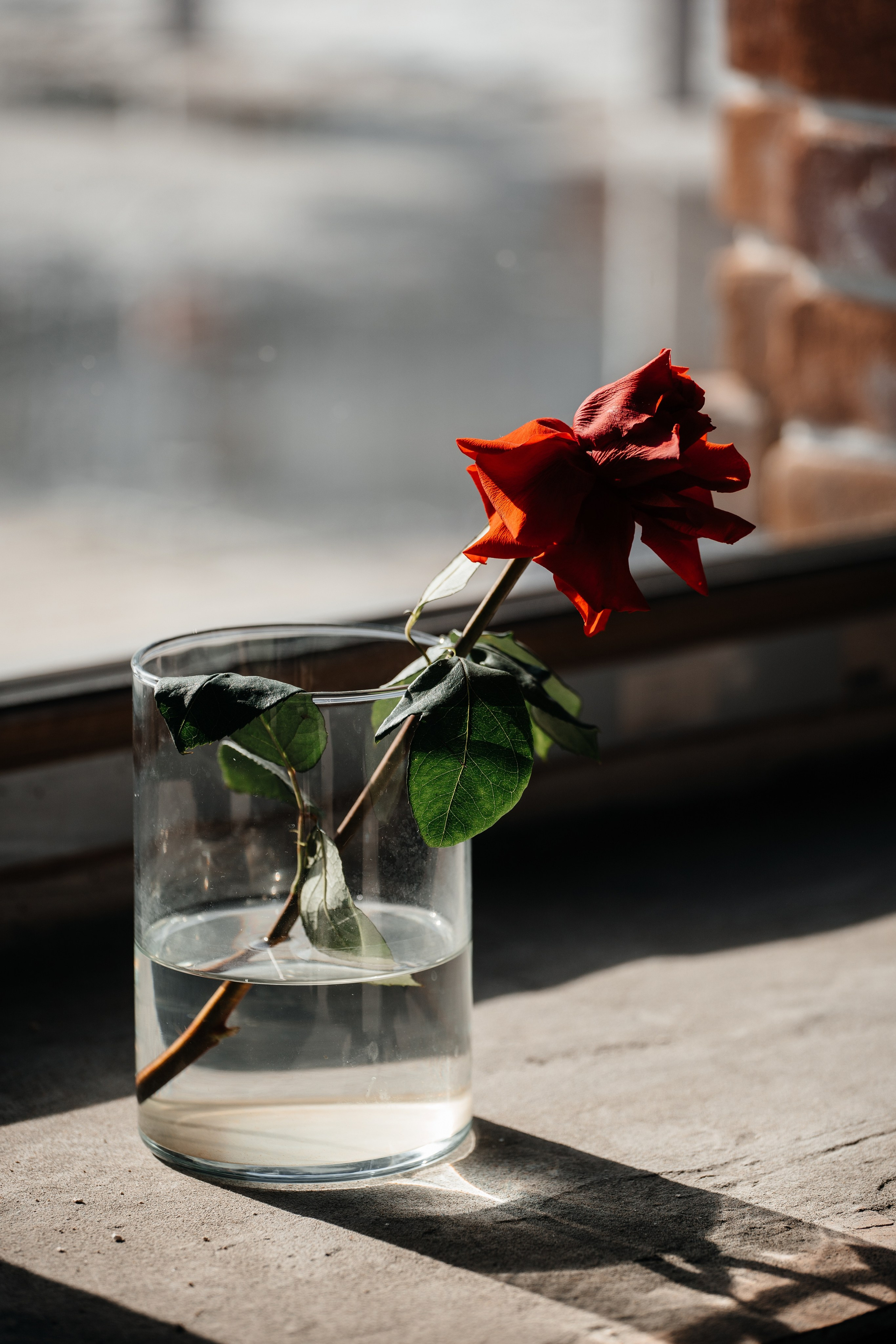 ПРОЕКТ ТЕОРИЯ. Свадебный фотограф Барнаул Алексей Павлов