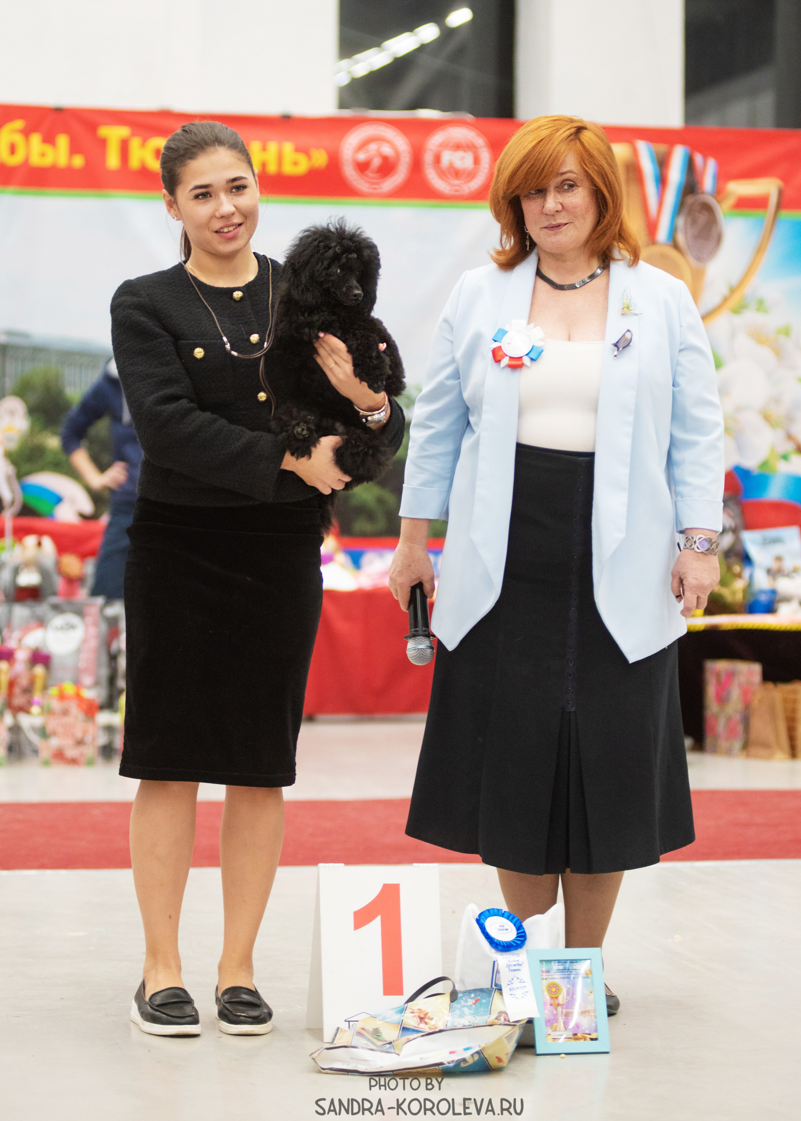 Выставка собак тюмень 10.12.2022. Дог-фотограф в Тюмени Александра Королева