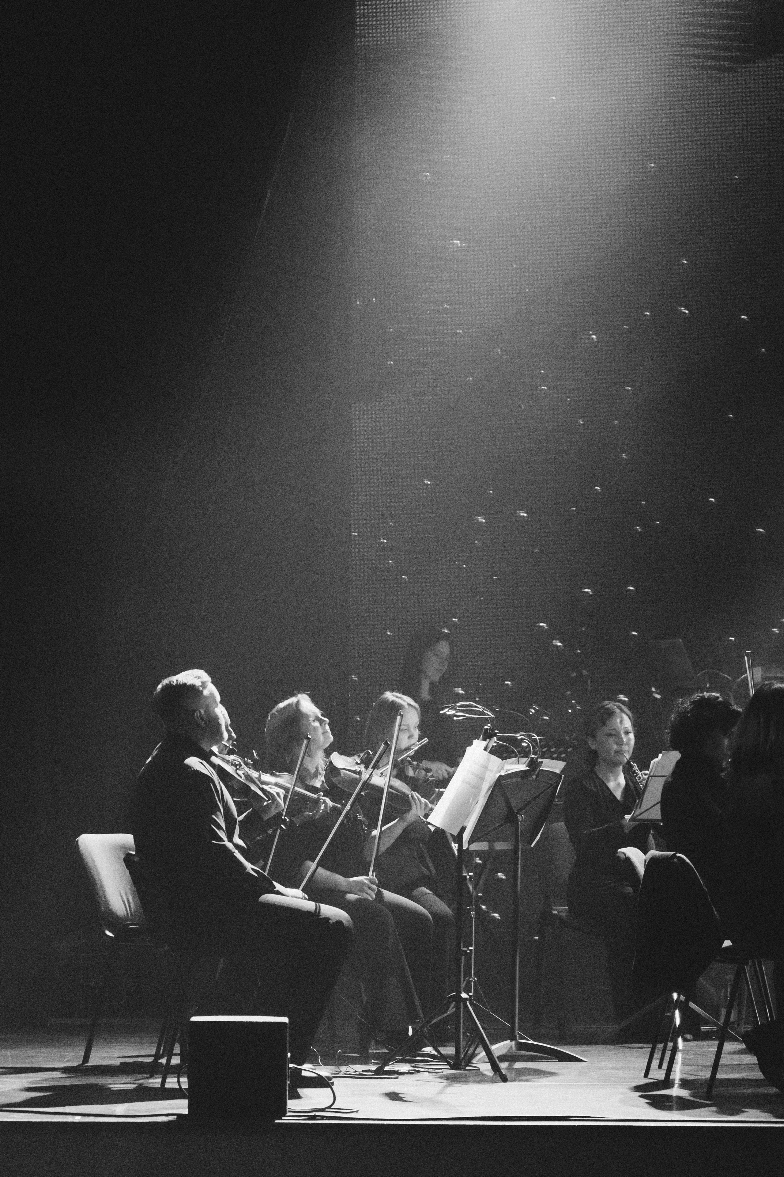 Сергей Бобунец в Красноярске 18.03.26. Фотограф Красноярск съемки лавстори, фотосессия в студии, портретная съемка, творческие фотосессии