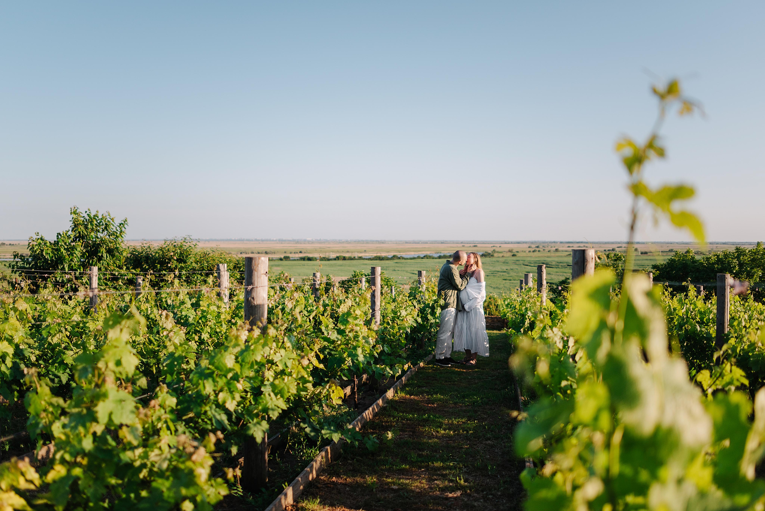 Паша, Саша, Ева и виноградники. Свадебный и семейный фотограф в Ростове-на-Дону Дарья Герасименко