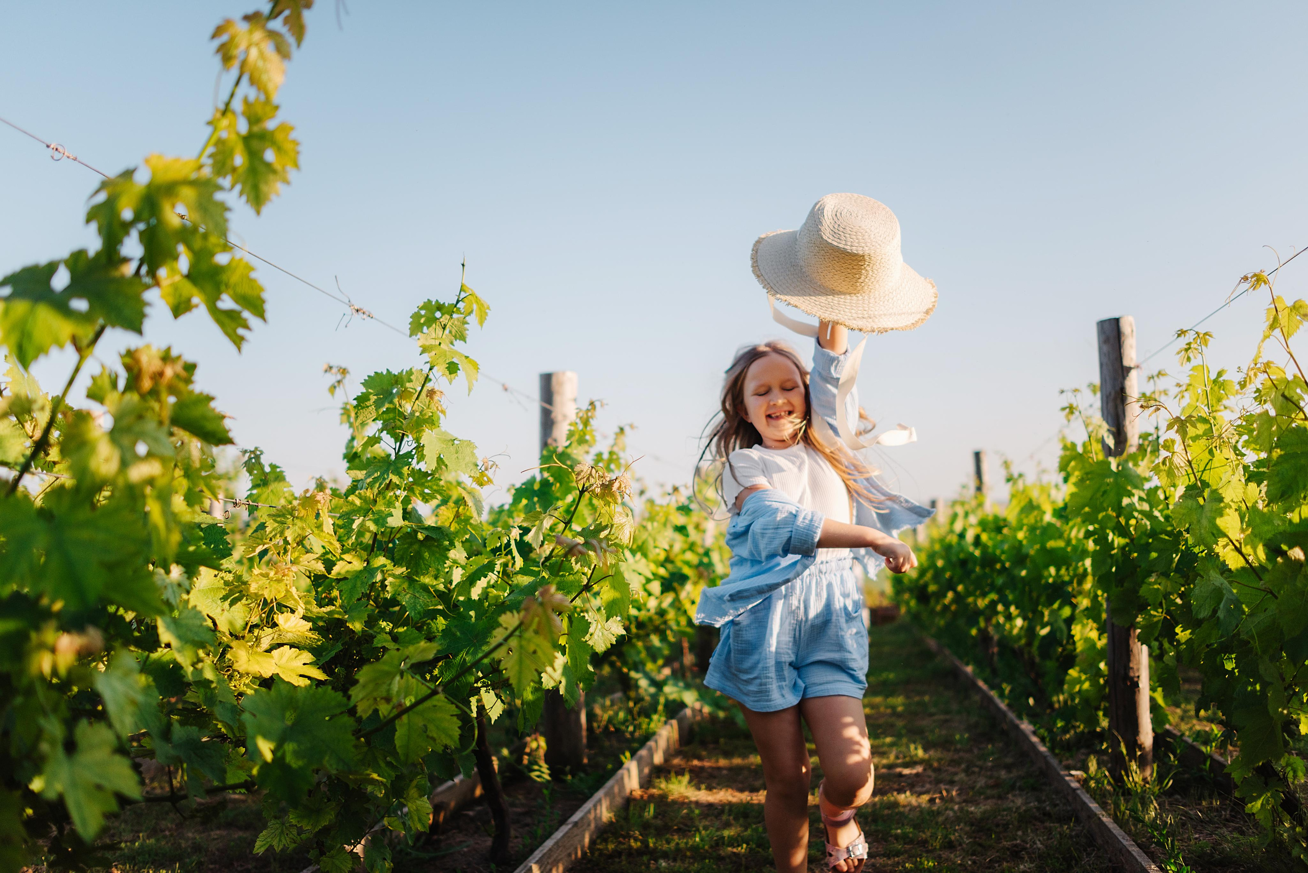 Паша, Саша, Ева и виноградники. Свадебный и семейный фотограф в Ростове-на-Дону Дарья Герасименко