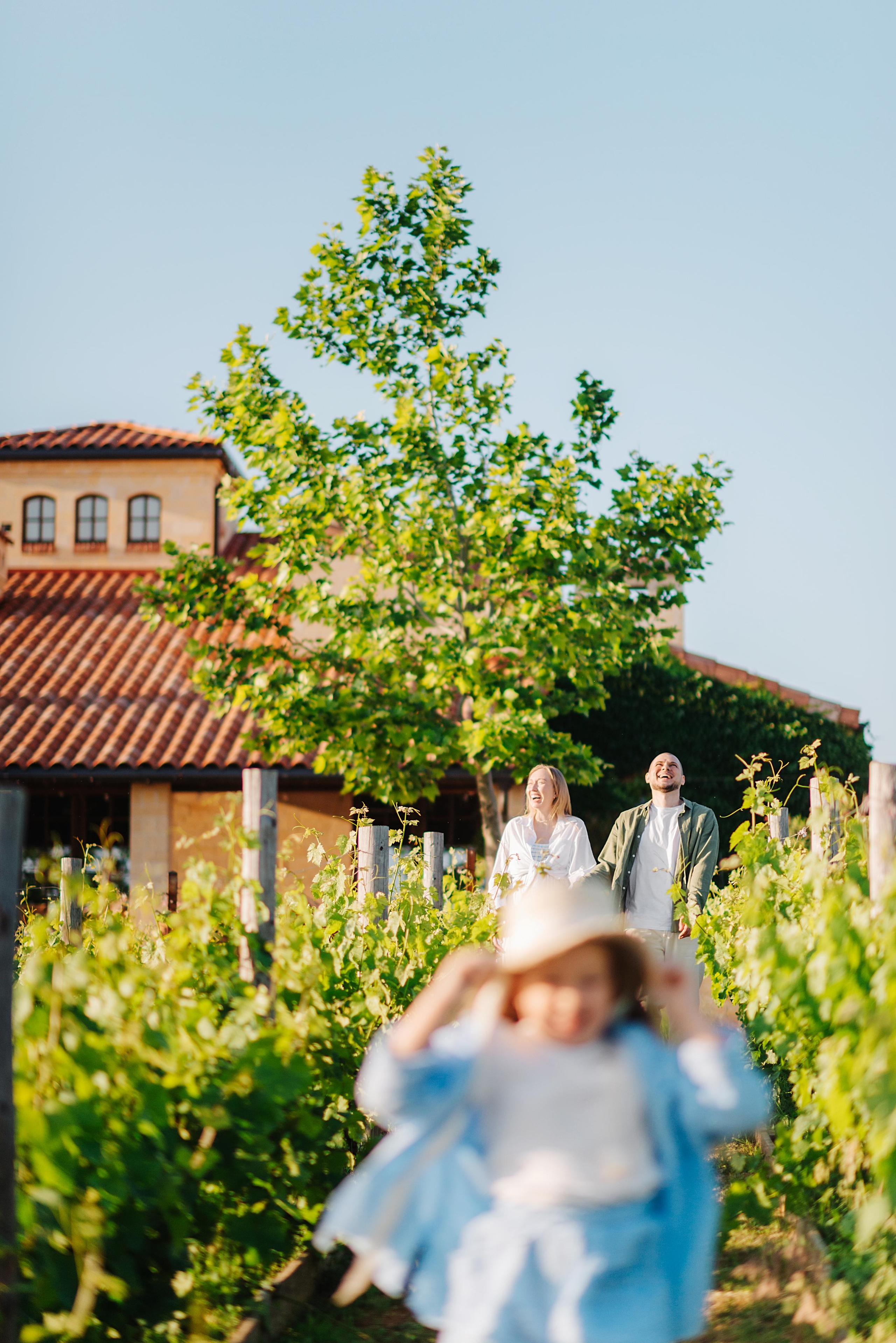 Паша, Саша, Ева и виноградники. Свадебный и семейный фотограф в Ростове-на-Дону Дарья Герасименко