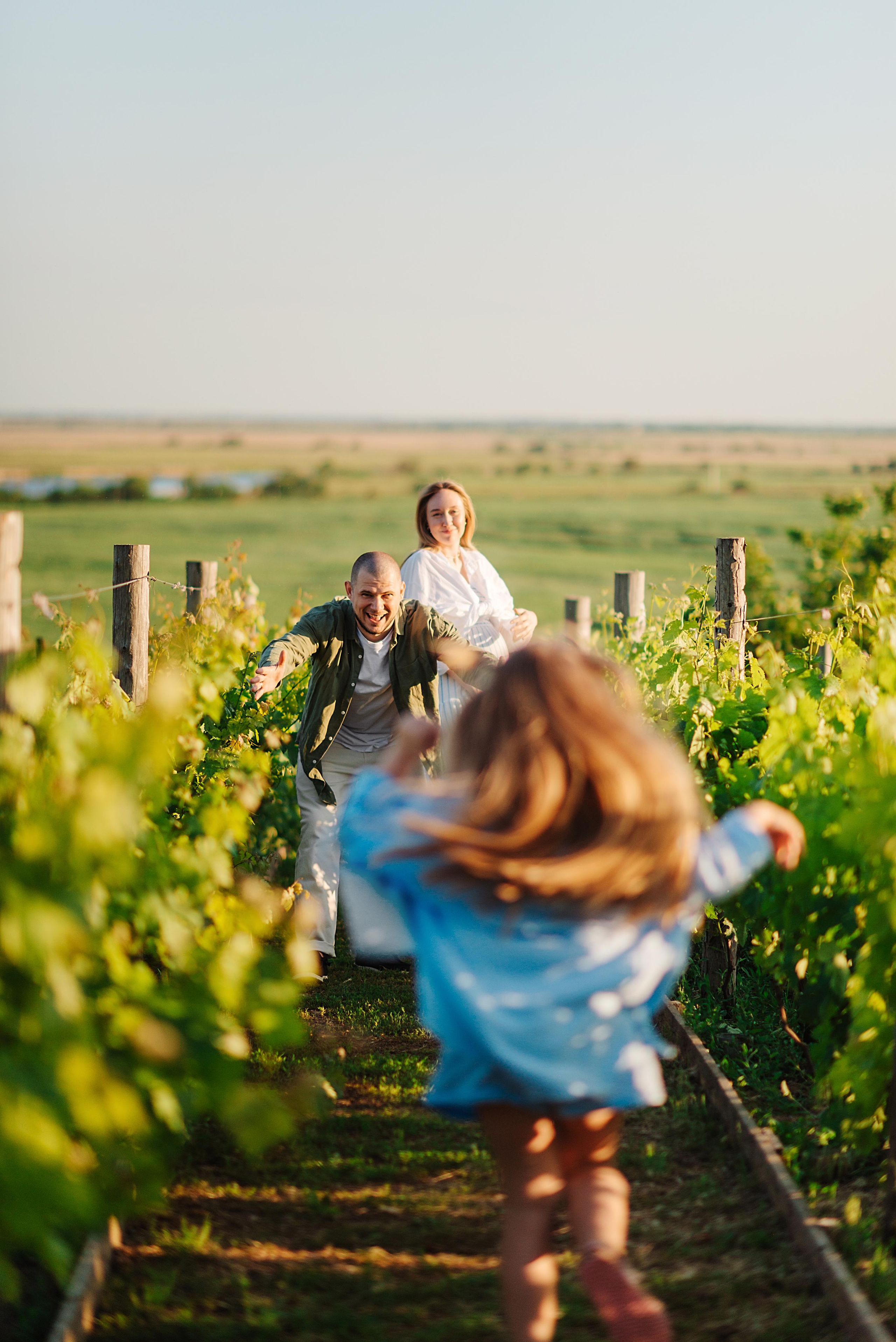 Паша, Саша, Ева и виноградники. Свадебный и семейный фотограф в Ростове-на-Дону Дарья Герасименко