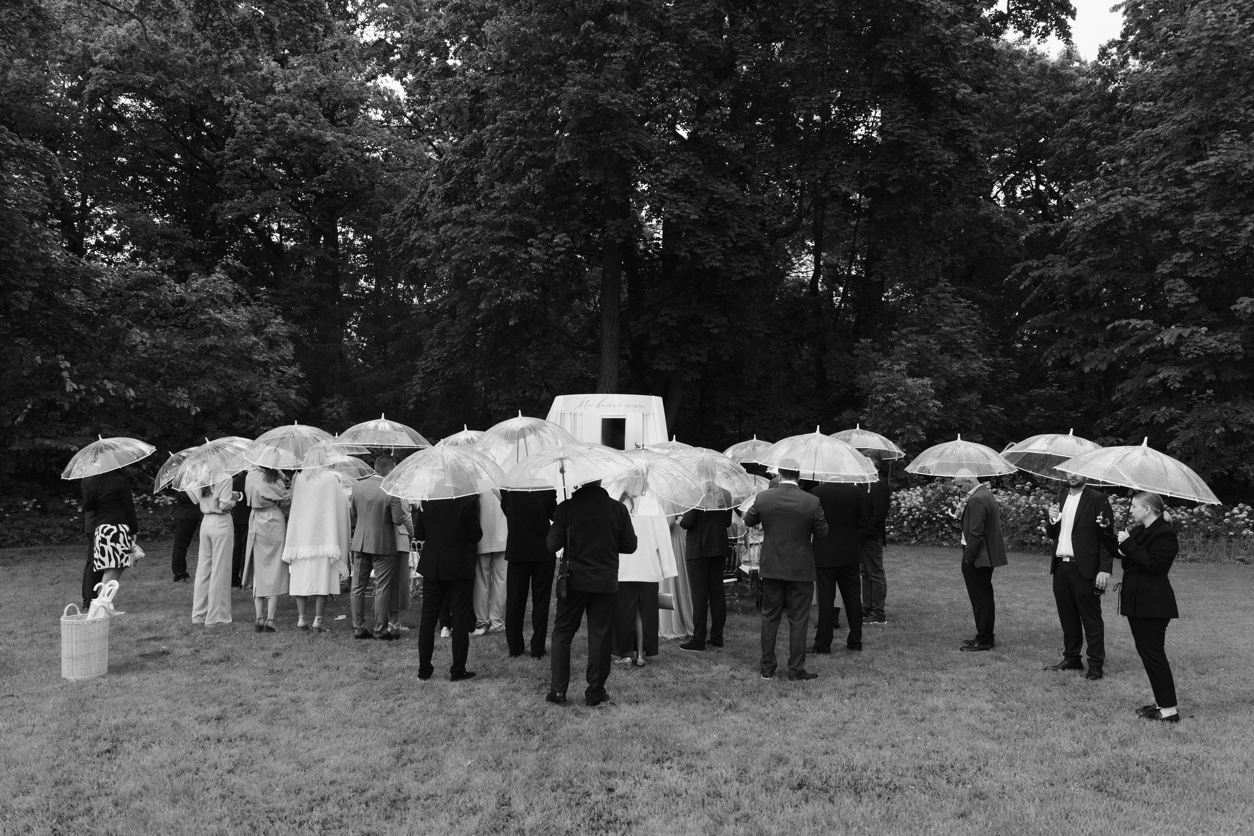 Мария и Сергей. Свадебный фотограф в Петербурге Перечнева Таша (Таша Вайб)